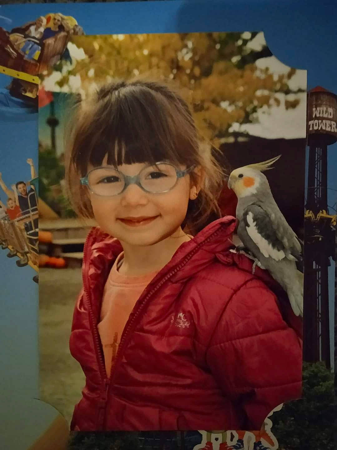 Elena participe au concours pour gagner de l'argent avec cette photo : accipitridae, accipitriformes, art, beak, bird, bird_of_prey, blurred, child, cockatoo, eyewear, falconiformes, happy, joy, organism, parrot, person, photo_caption, smile, toddler, travel