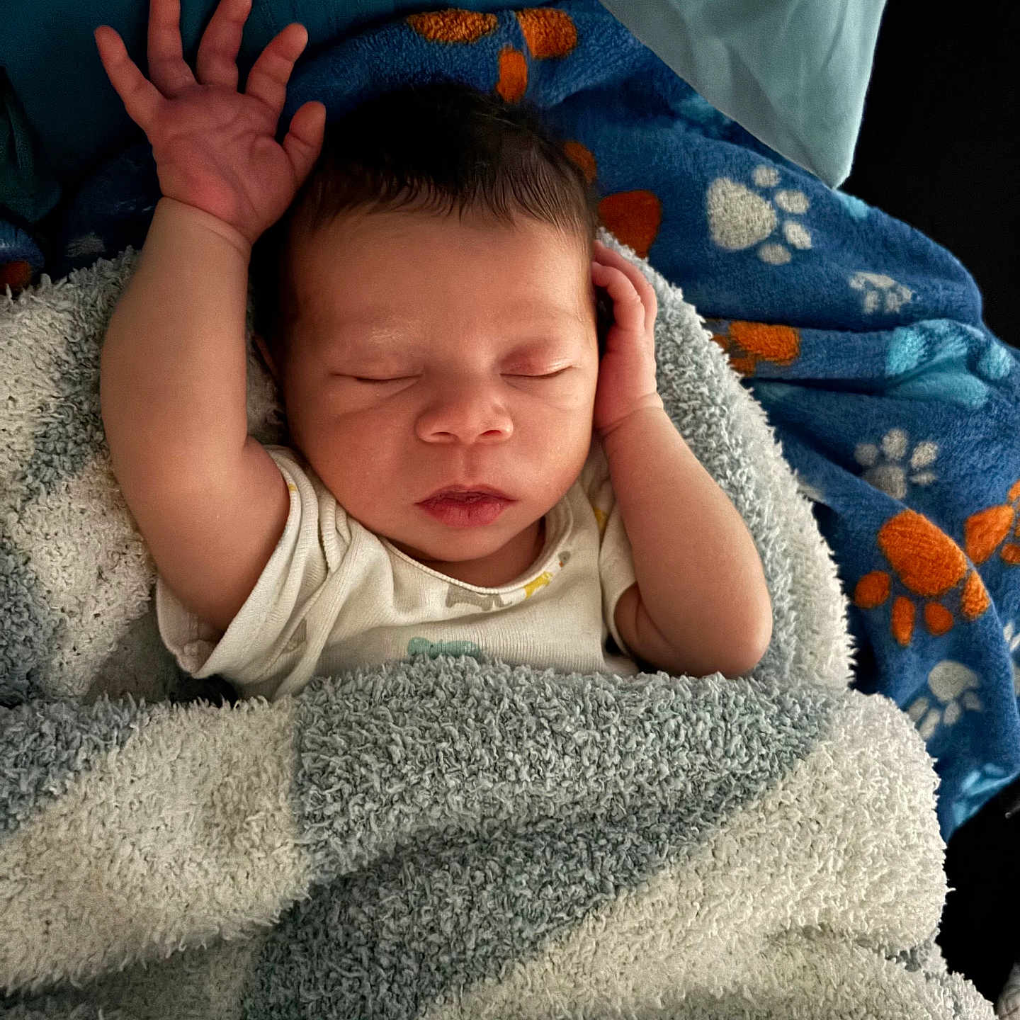 Jasmere joined the competition — help win amazing prizes! arm, baby, bedtime, blanket, child, closeup, cozy, cute, fabric, face, hand, infant, newborn, paw_print, peaceful, person, resting, sleeping, soft_texture, wrapped