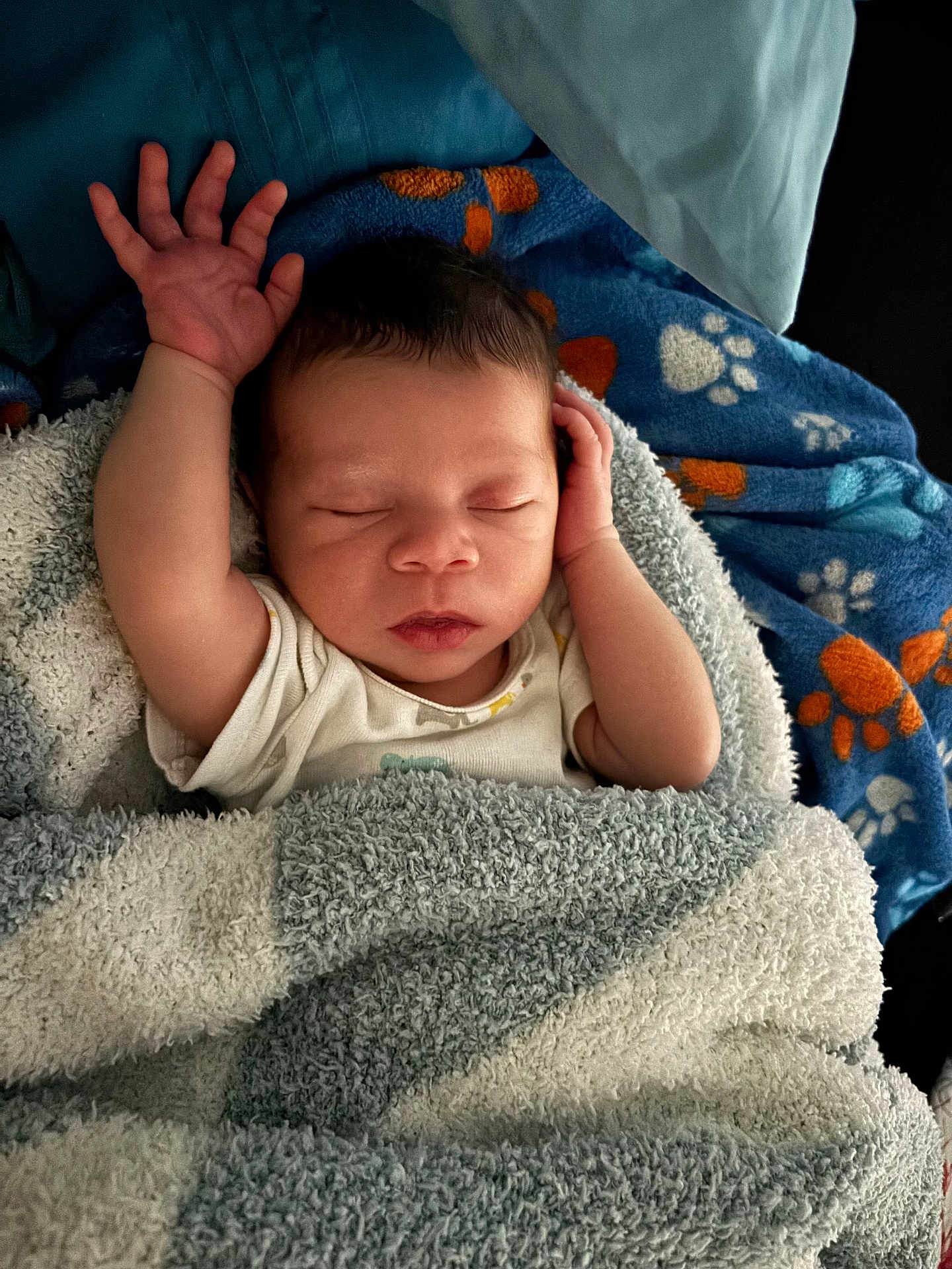 Jasmere joined the competition — help win amazing prizes! baby, newborn, sleeping, blanket, arm, hand, face, infant, cozy, paw_print, fabric, soft_texture, wrapped, peaceful, closeup, child, person, bedtime, cute, resting