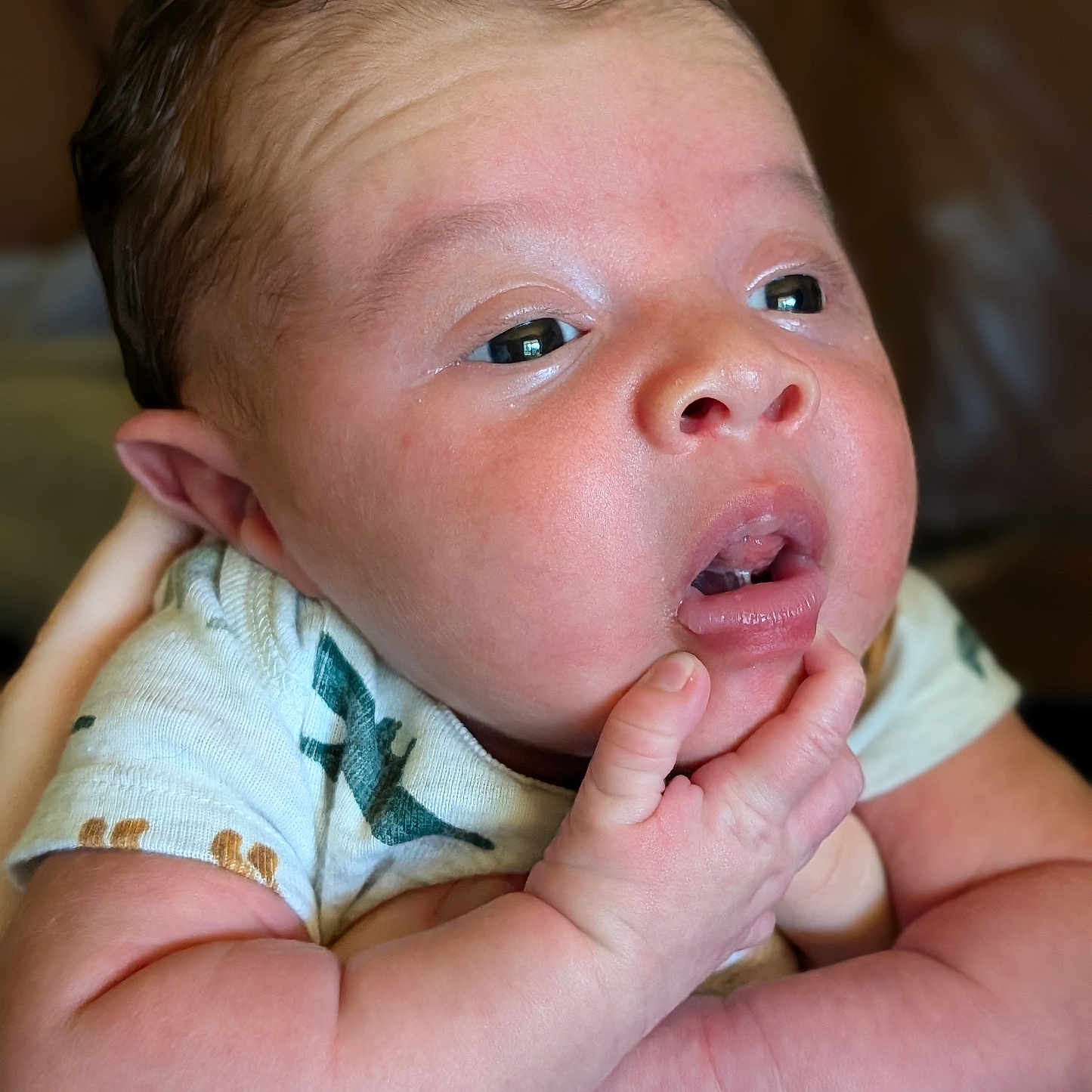 Zaylen