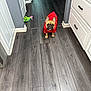 Remi joined the competition — help win amazing prizes! dog, french_bulldog, red_jacket, toy, dinosaur_toy, wooden_floor, hallway, indoor, pet, curious, animal, flooring, puppy, canine, house, domestic, mammal, cute, pet_clothing, playful