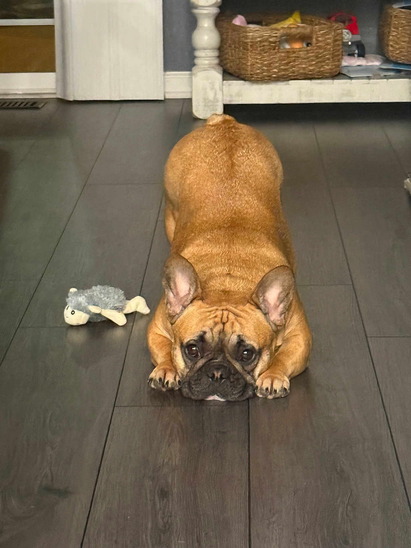 Remi