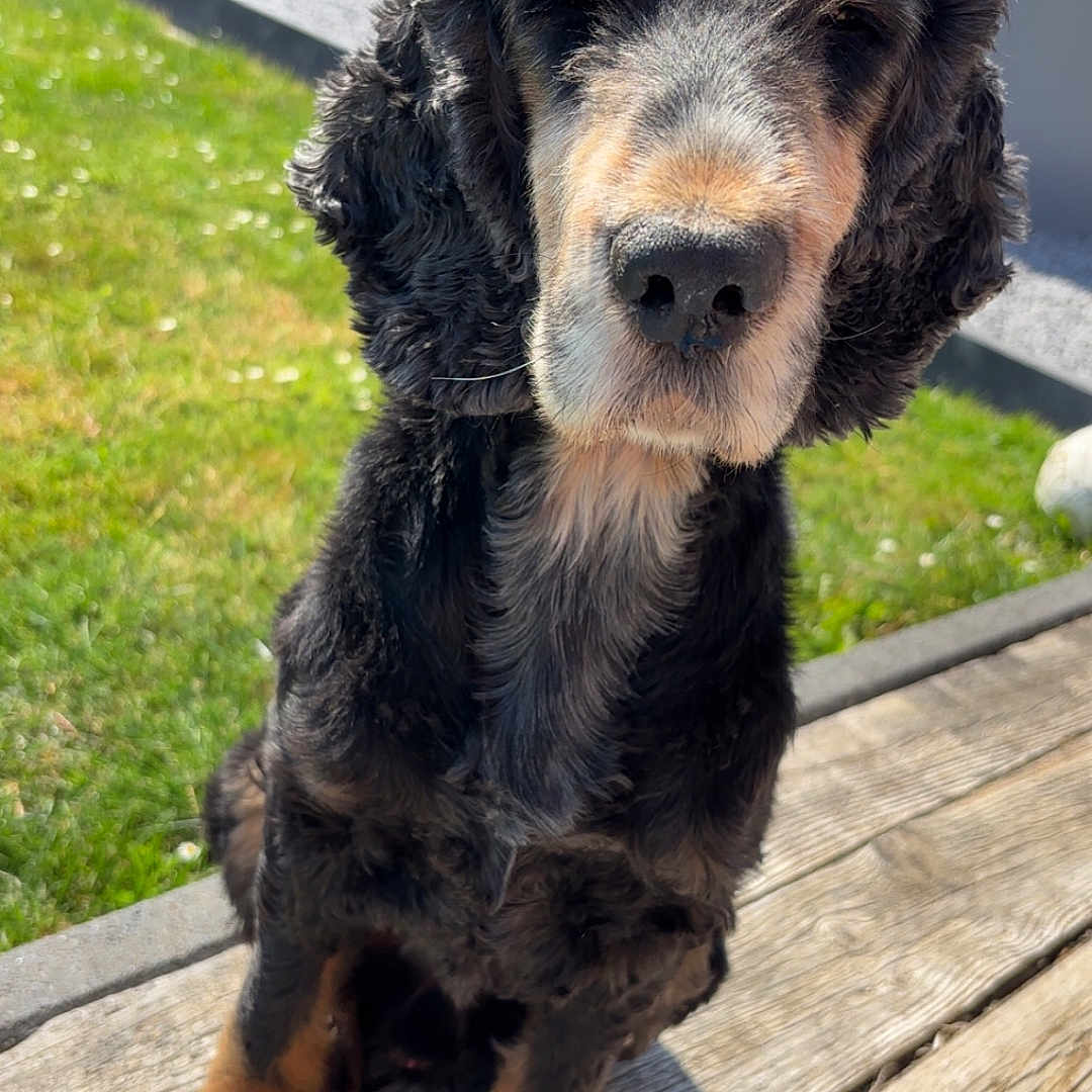 Milka