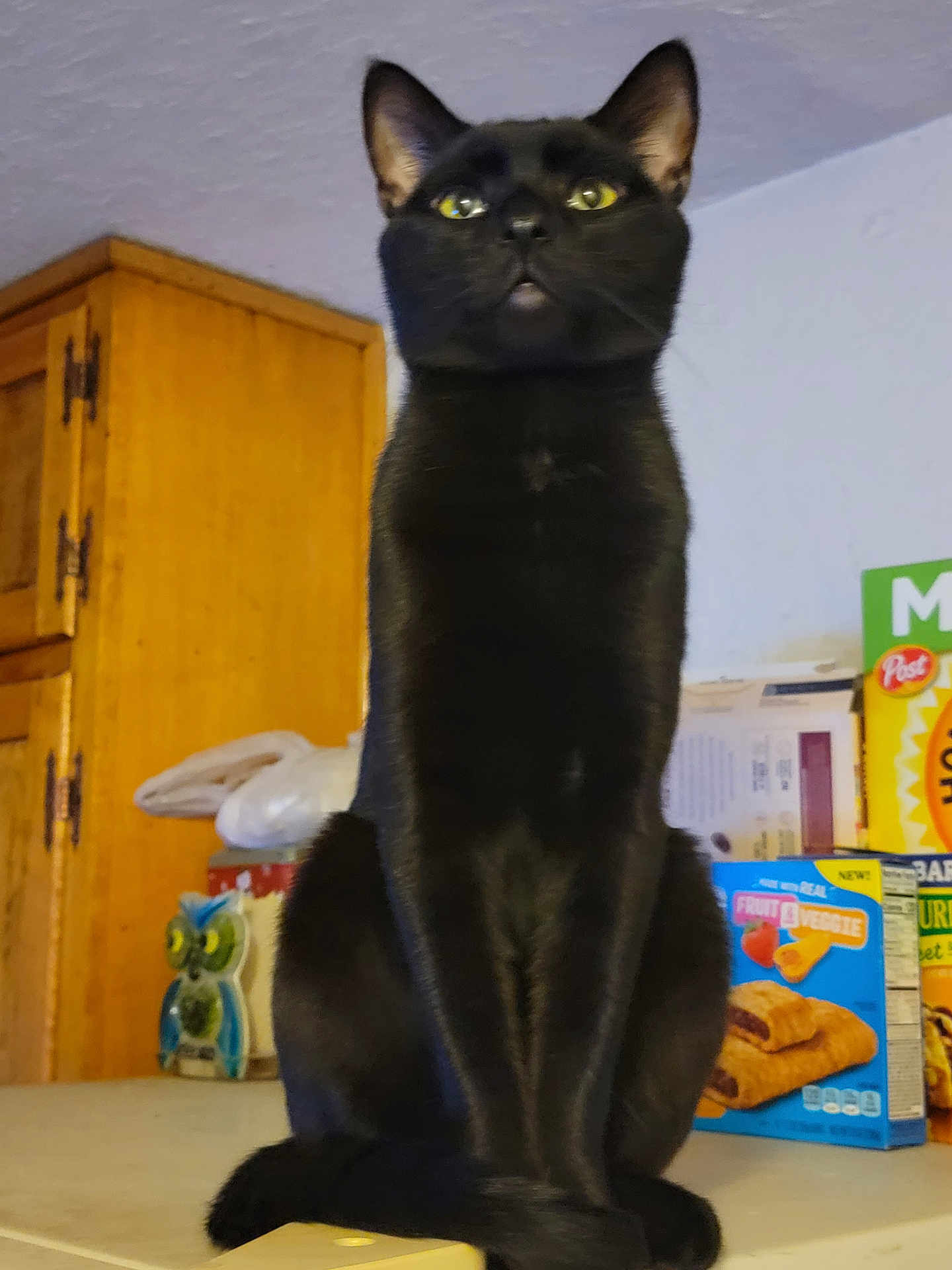 Osiris