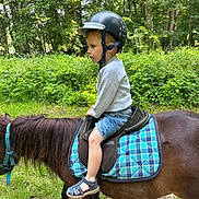 Giovanni participe au concours pour gagner de l'argent avec cette photo : child, helmet, horse, pony, forest, greenery, nature, outdoor, grass, animal, riding, saddle, plaid, shorts, sandals, summer, young, side_view, cute, adventure