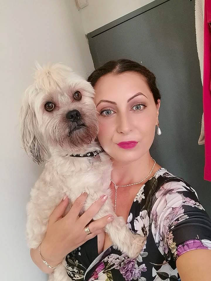 Lucky participe au concours pour gagner de l'argent avec cette photo : black_hair, brown_hair, carnivore, companion_dog, dog, dog_supply, event, eyelash, fashion_design, fawn, flag, formal_wear, happy, jewellery, long_hair, makeover, picture_frame, pink, skin, toy_dog