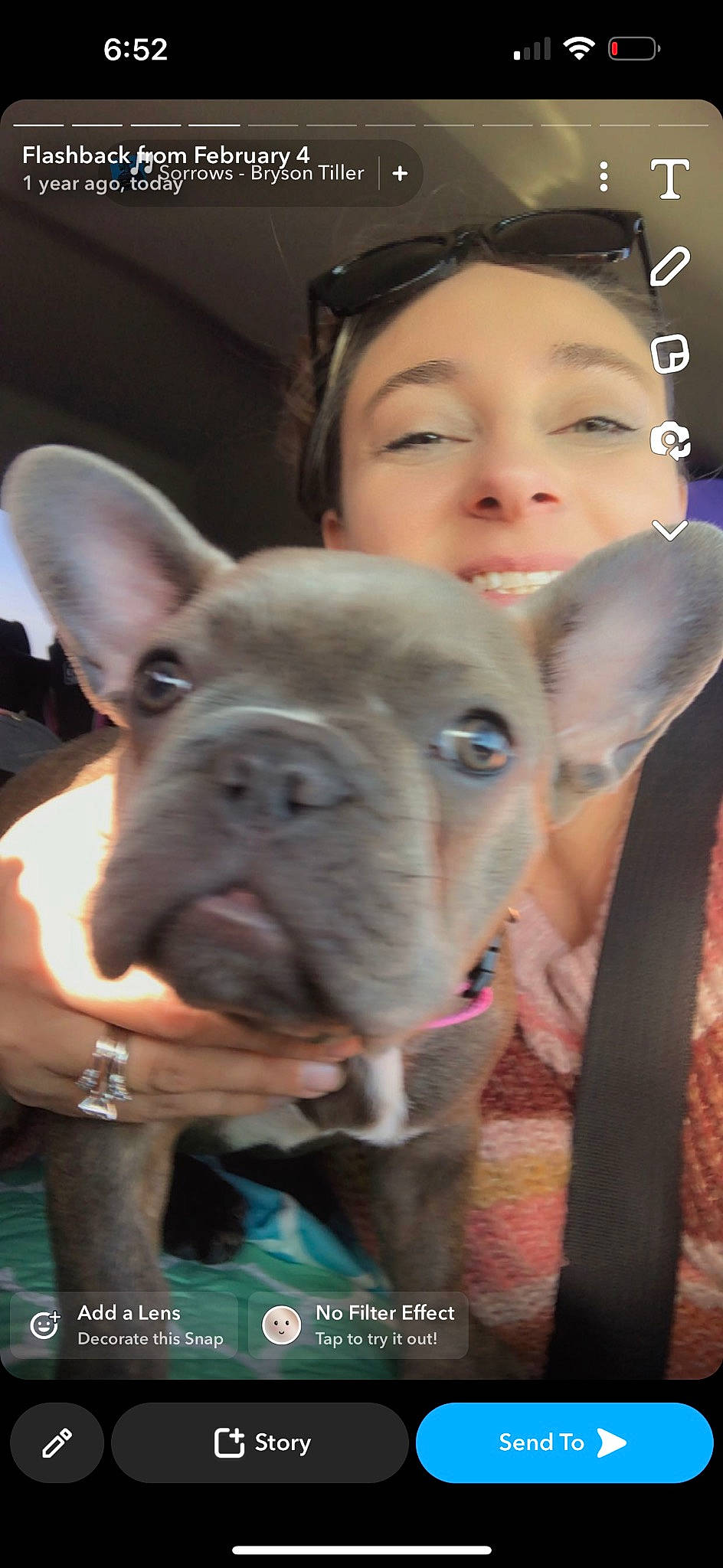 Penny joined the competition — help win amazing prizes! bracelet, companion_dog, dog, dog_breed, ear, fawn, fur, happy, non_sporting_group, nose, photo_caption, photography, pink, snapshot, snout, terrestrial_animal, whiskers, working_animal, wrinkle