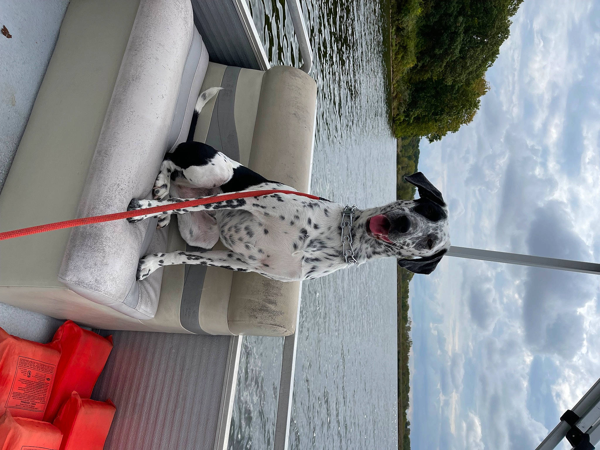 Dixie joined the competition — help win amazing prizes! adventure, boat, building, carmine, cloud, elbow, fun, leisure, line, recreation, sky, snow, tree, water, watercraft, white, winter