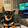 Milo