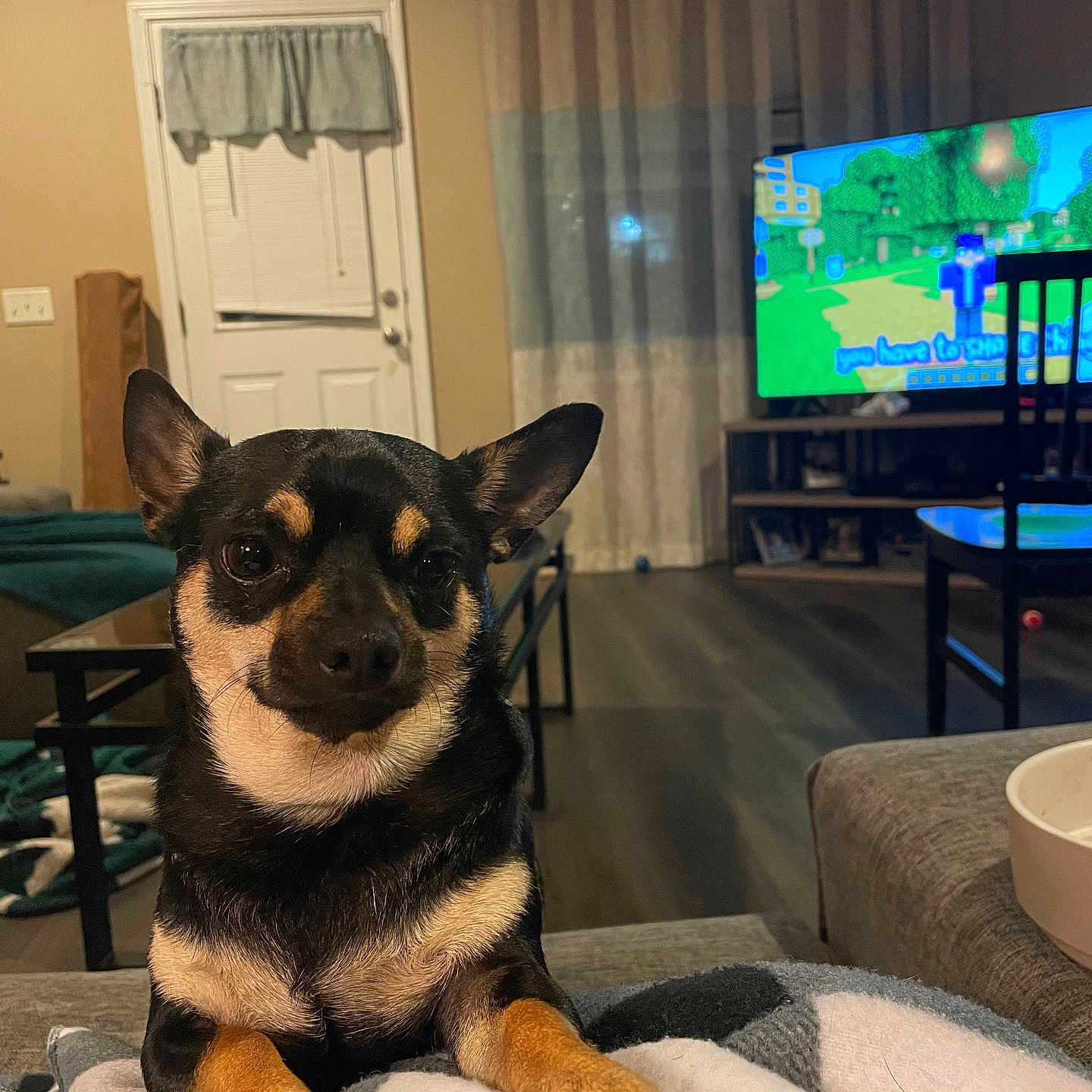Milo
