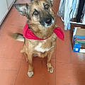 Fifi S.