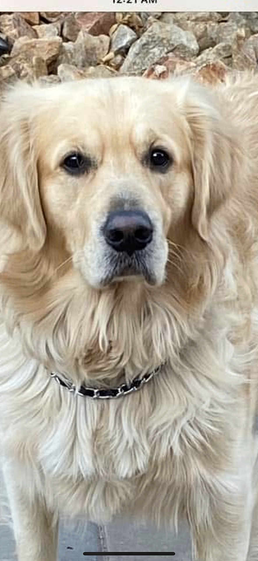Barkley