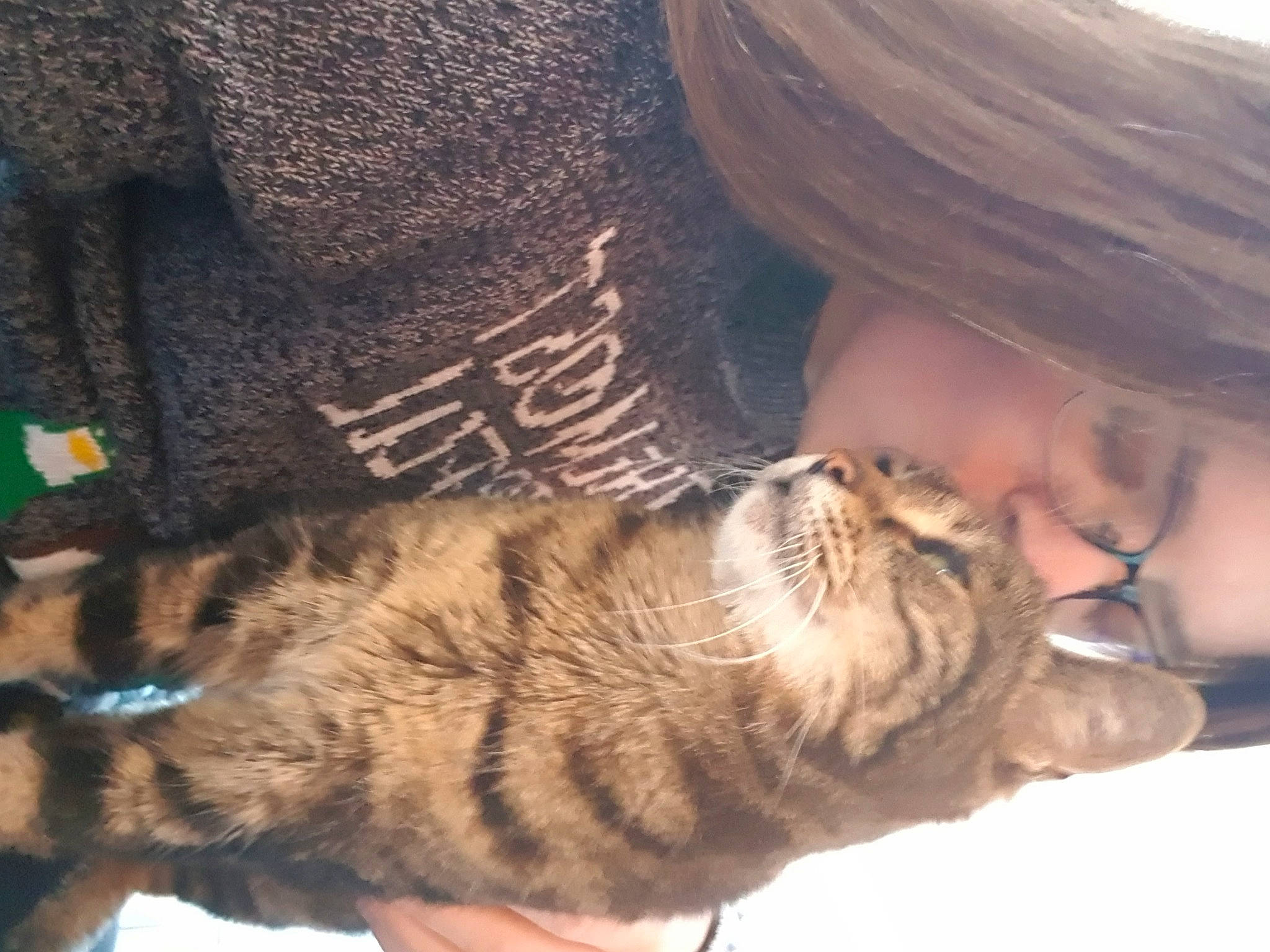 Norbert a rejoint le concours — aidez-le/la à gagner de superbes lots ! carnivore, cat, comfort, dog_breed, domestic_short_haired_cat, fawn, felidae, fur, happy, hat, kiss, mammal, small_to_medium_sized_cats, smile, snout, sporting_group, tail, vertebrate, whiskers, wood