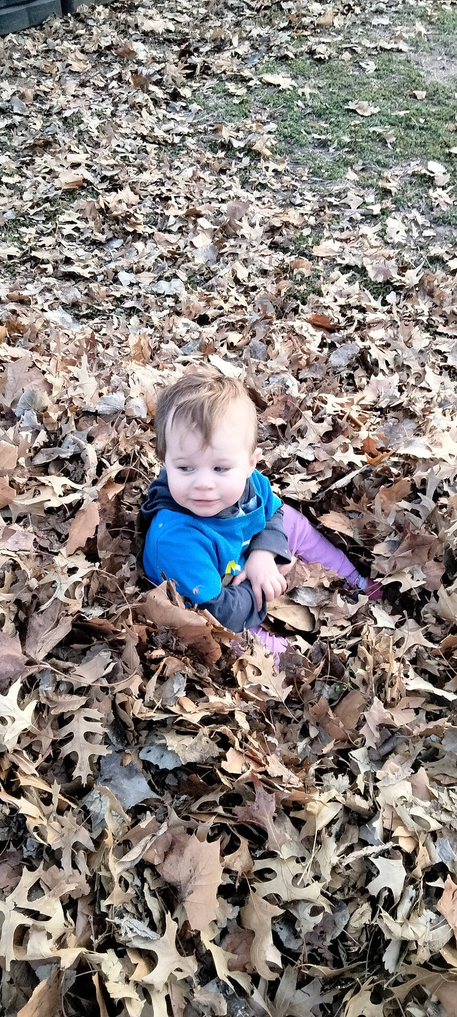 Daenerys is registered to the contest to win money with this photo: autumn, baby, baby_toddler_clothing, child, deciduous, electric_blue, face, fun, grass, happy, landscape, people_in_nature, person, portrait_photography, rock, sitting, smile, soil, toddler, winter