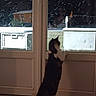 cat, indoor, window, snow, night, curious, pet, animal, glass_door, standing, black_and_white_cat, floor, reflection, winter, cold, house, domestic, looking_out, quiet, cozy