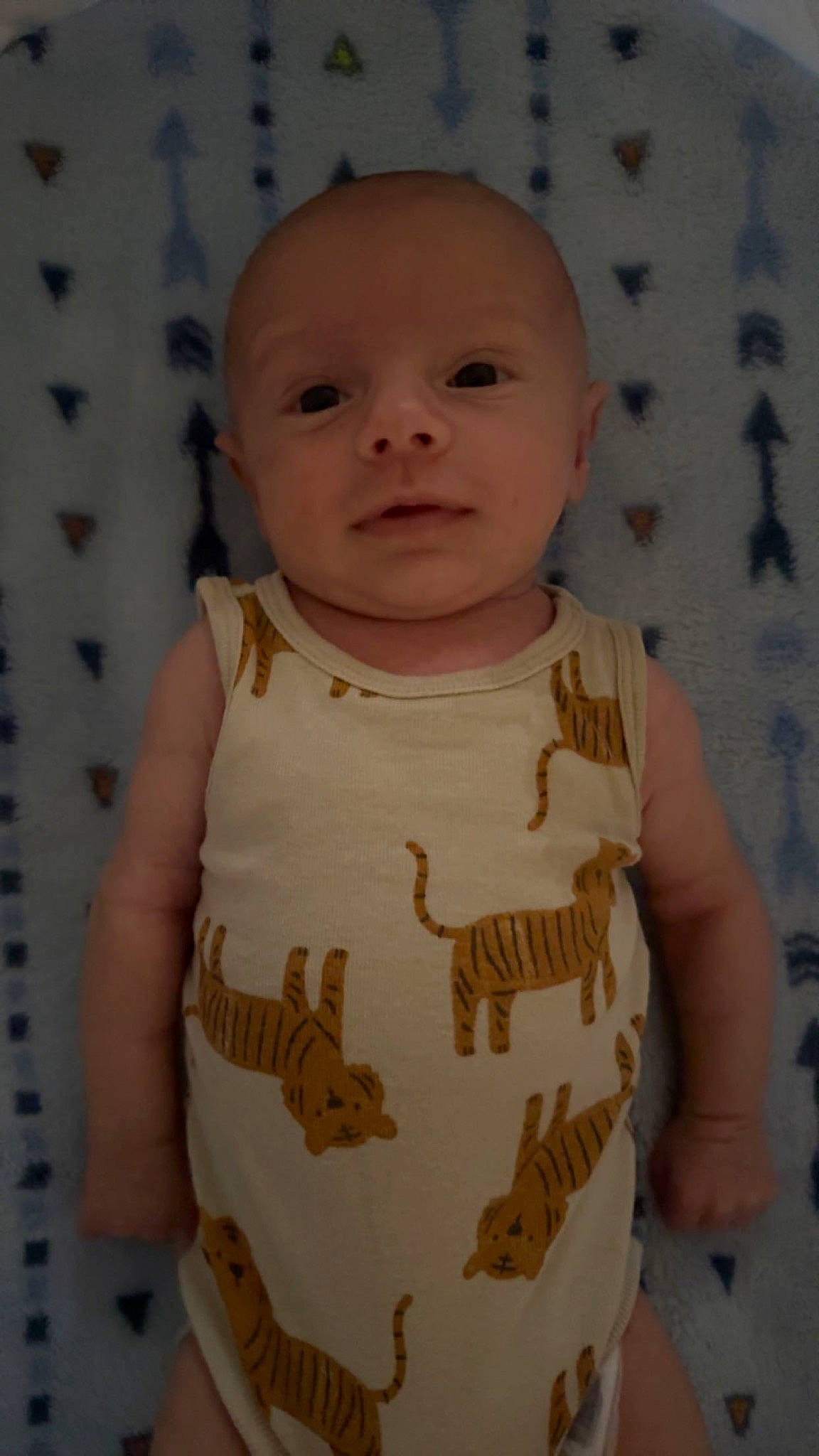 Korbyn is registered to the contest to win money with this photo: art, baby, baby_toddler_clothing, bib, cheek, chest, child, collar, day_dress, dress, eyebrow, happy, lip, nose, one_piece_garment, pattern, person, skin, sleeve, toddler