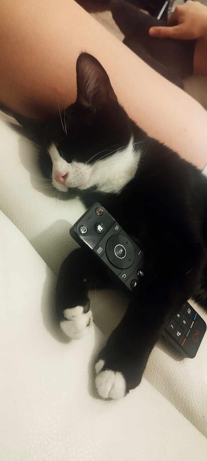 Digit