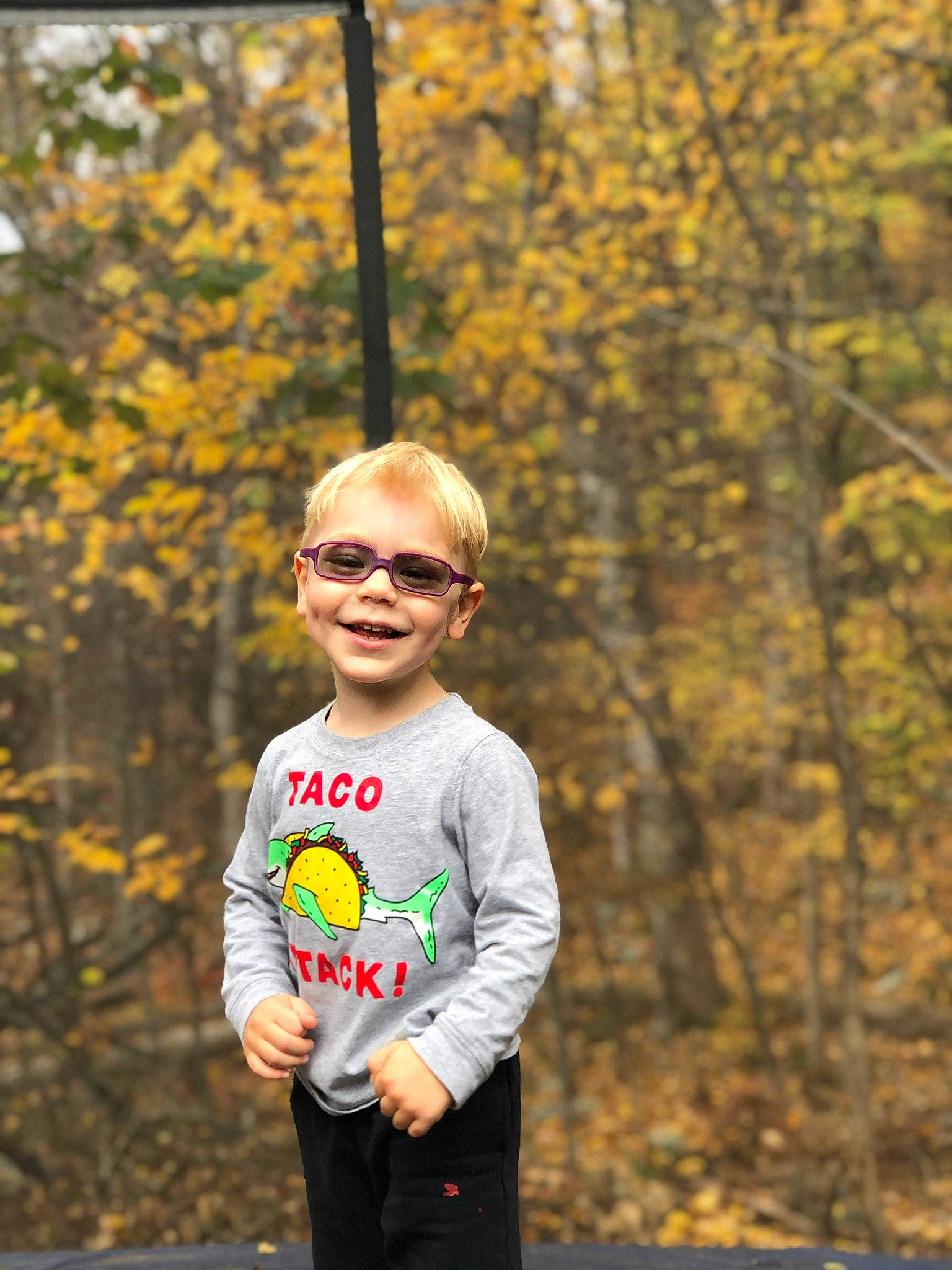 Elijah is registered to the contest to win money with this photo: autumn, child, fun, glasses, happy, joy, leaf, leisure, people, person, photography, plant, recreation, running, smile, spring, t_shirt, toddler, tree, vacation
