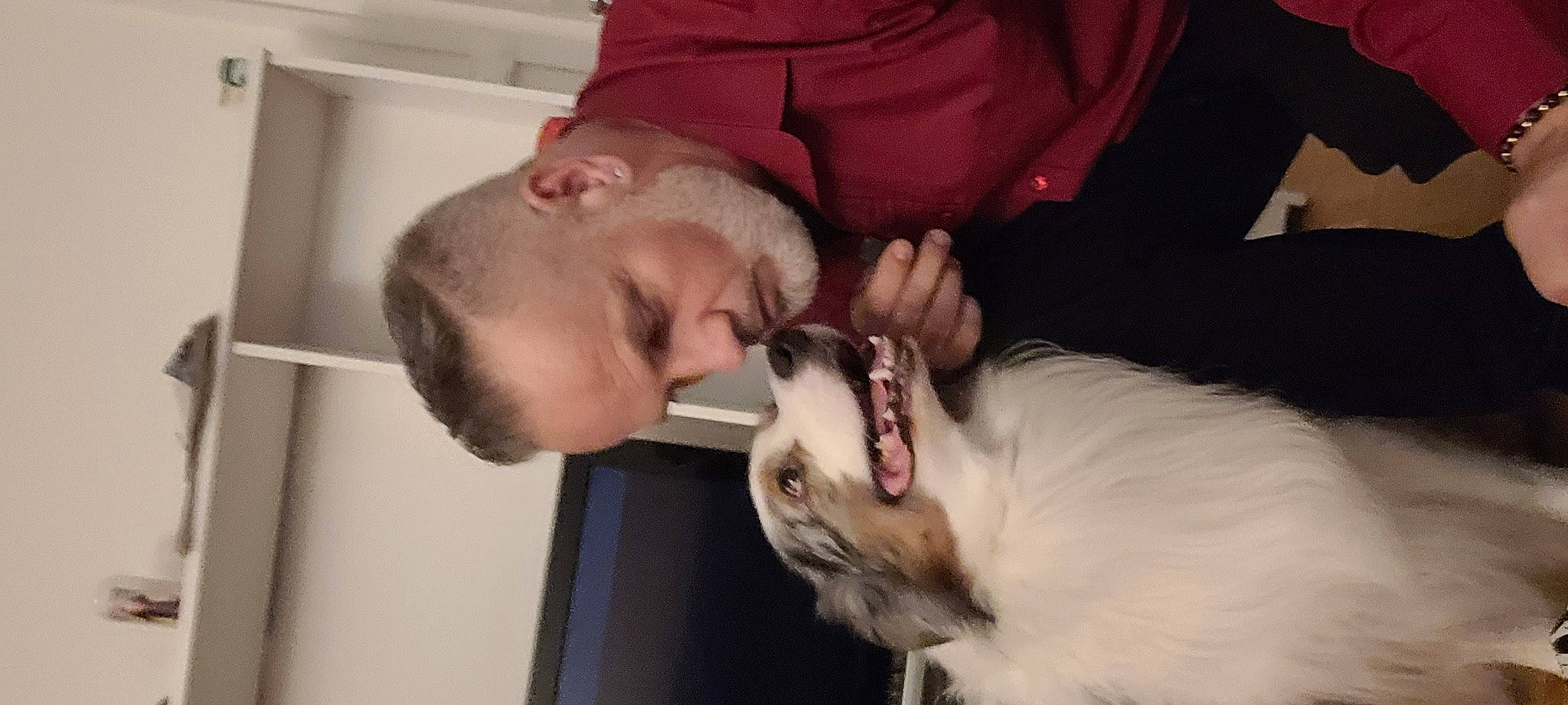 Ruby a rejoint le concours — aidez-le/la à gagner de superbes lots ! beard, canidae, carnivore, comfort, companion_dog, dog, dog_breed, ear, facial_hair, fang, fawn, felidae, fur, happy, jaw, neck, small_to_medium_sized_cats, sporting_group, toy_dog, whiskers