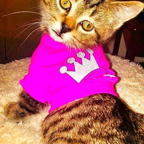Mia joined the competition — help win amazing prizes!