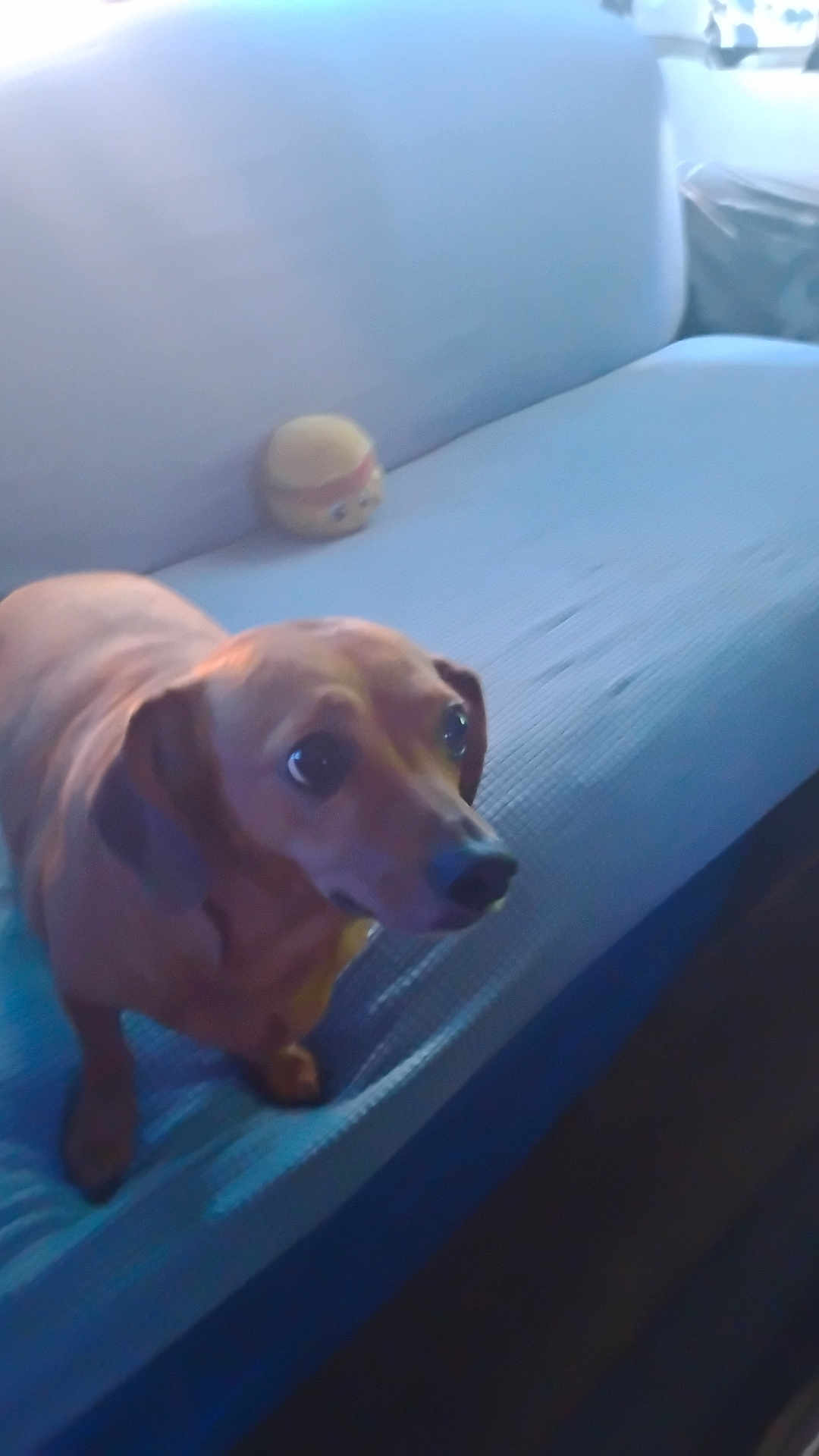 Penny