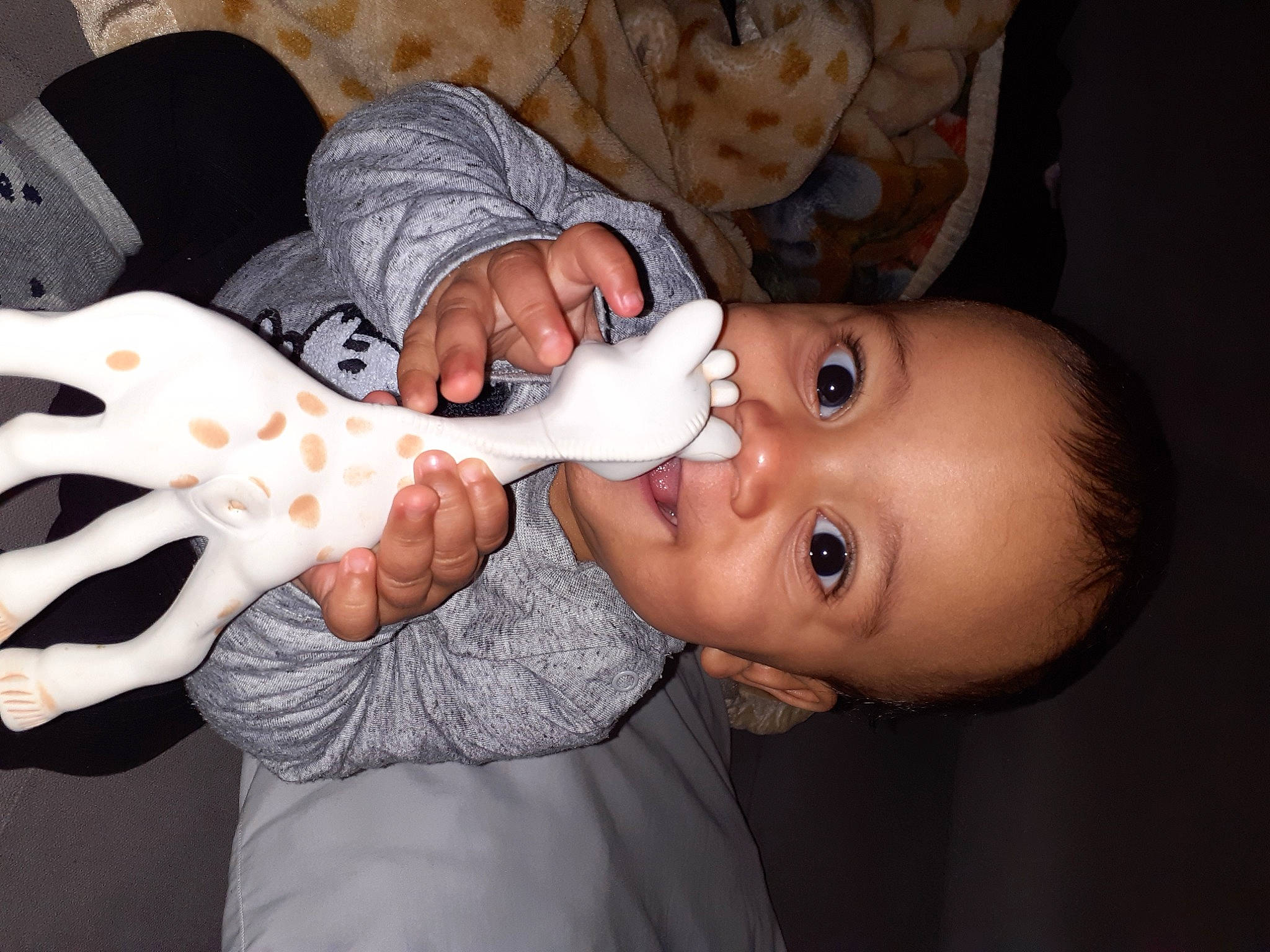 Tylio a rejoint le concours — aidez-le/la à gagner de superbes lots ! baby, baby_food, baby_grabbing_for_something, baby_toddler_clothing, couch, eating, finger, hand, joint, kitchen_utensil, milk, nail, organ, person, skin, taste, wrist