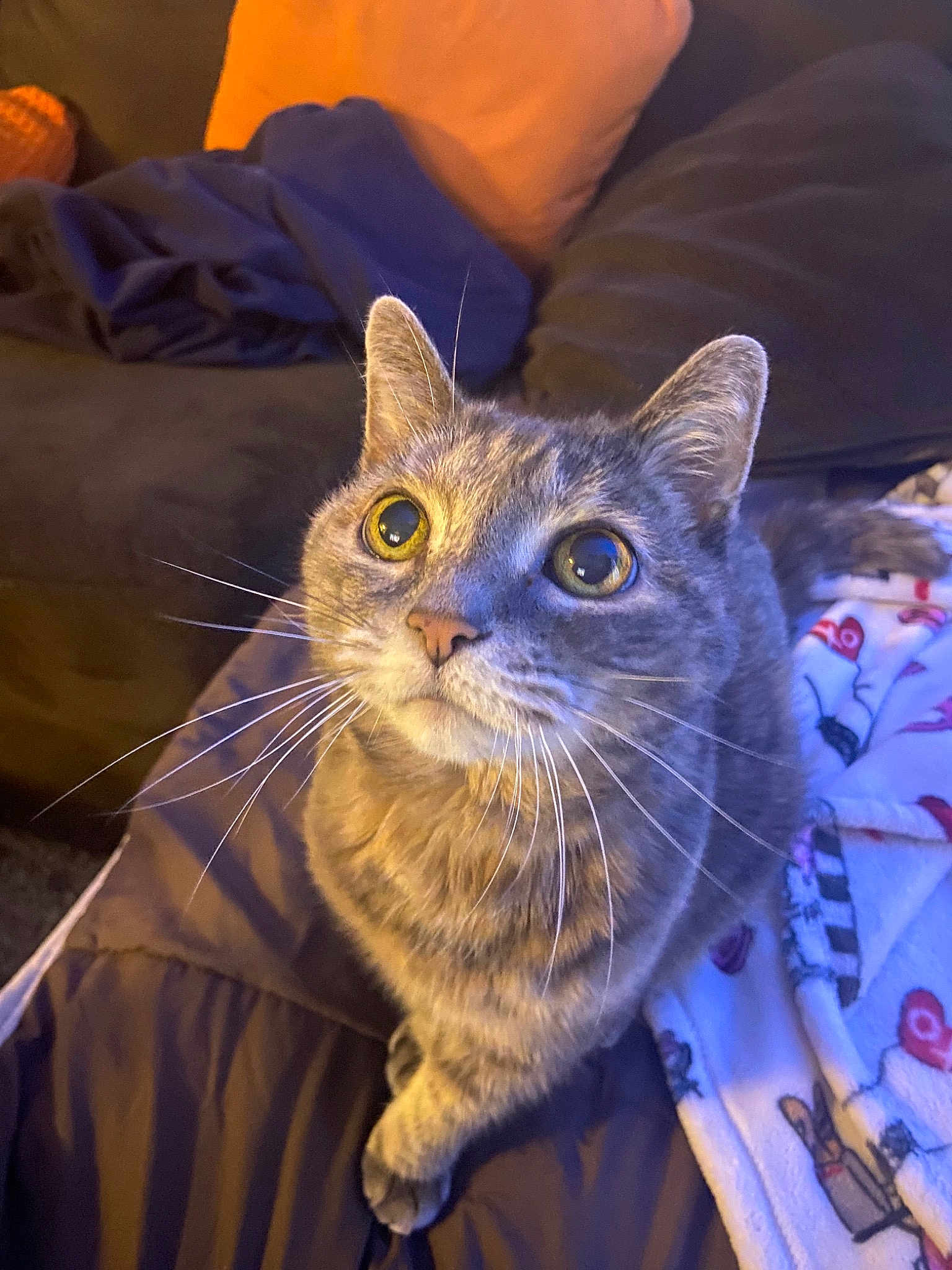 Munchkin