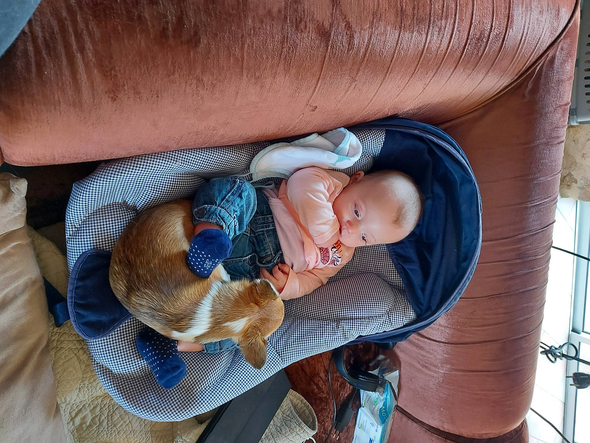 Keylia a rejoint le concours — aidez-le/la à gagner de superbes lots ! baby, baby_carriage, baby_products, baby_toddler_clothing, child, comfort, eye, face, head, lap, leg, leisure, linens, mammal, nap, person, play, sitting, toddler, tree