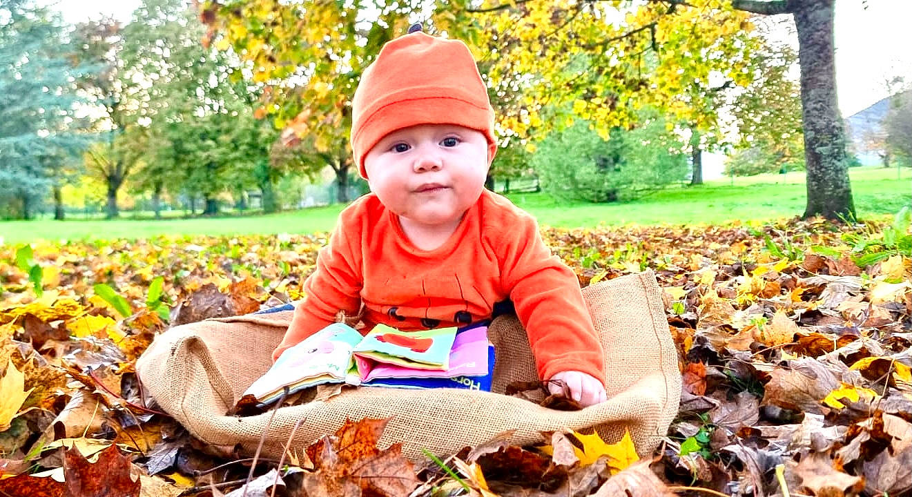 Marlon a rejoint le concours — aidez-le/la à gagner de superbes lots ! autumn, baby, baby_toddler_clothing, child, deciduous, grass, happy, headwear, leaf, leisure, natural_landscape, orange, outerwear, people_in_nature, person, plant, portrait_photography, sitting, toddler, tree