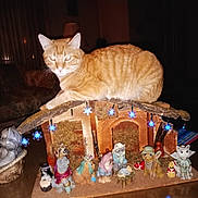 Anthony Mauricey joined the competition — help win amazing prizes! cat, orange_tabby, ginger_cat, nativity_scene, miniature, figurines, wooden_stable, christmas_decor, blue_lights, flash_glare, glowing_eyes, tabletop, indoor, ceramic, whiskers, cozy, dark_background, lamp, furniture, holiday