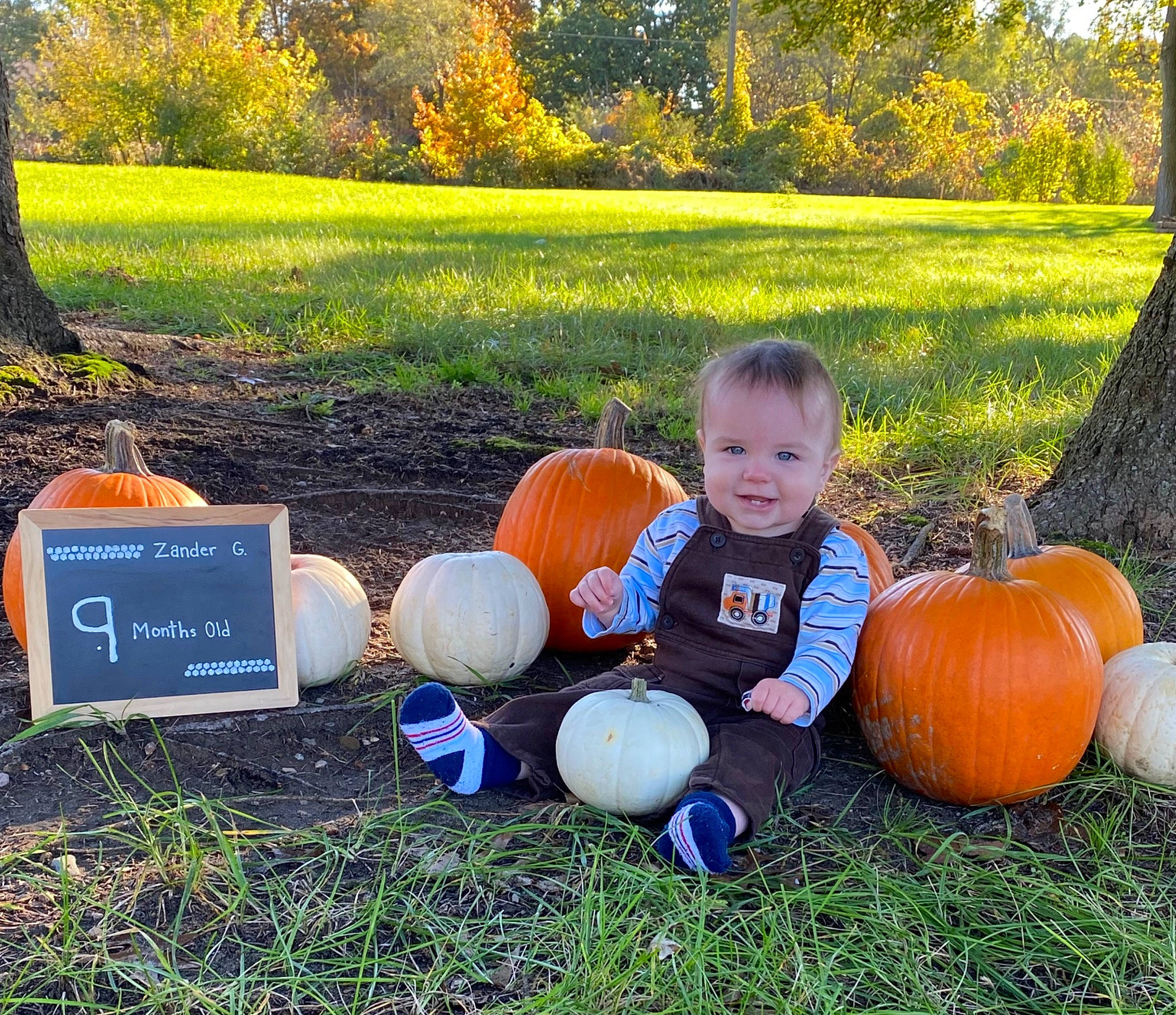 Zander joined the competition — help win amazing prizes! ball, calabaza, cucurbita, fun, gourd, grass, green, happy, joy, lawn, leisure, meadow, people_in_nature, person, plant, pumpkin, sports_equipment, squash, toddler, tree