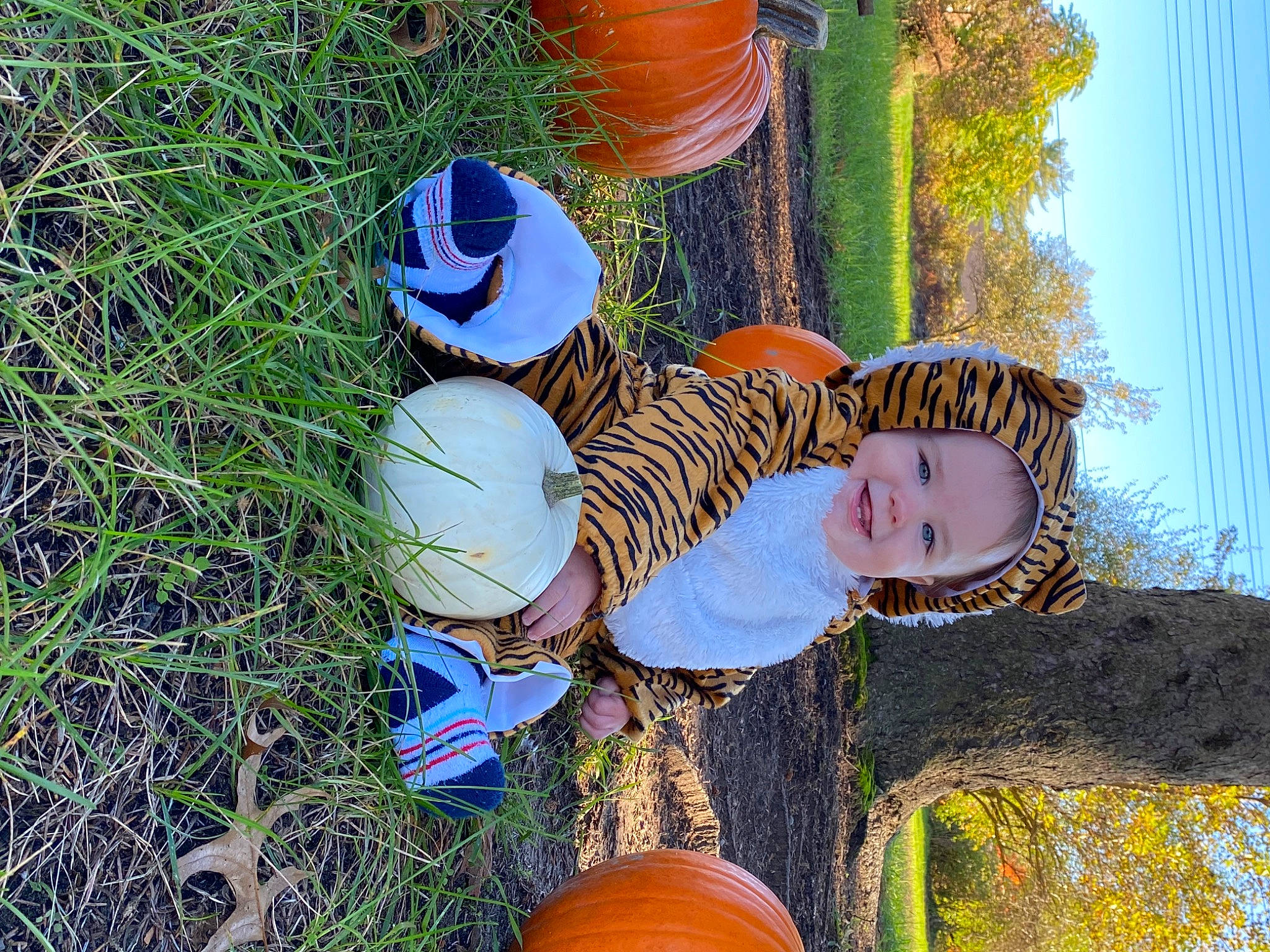 Zander joined the competition — help win amazing prizes! baby_toddler_clothing, blue, botany, calabaza, cucurbita, fun, grass, happy, hat, joy, leaf, leisure, people_in_nature, person, plant, pumpkin, recreation, sky, toddler, tree