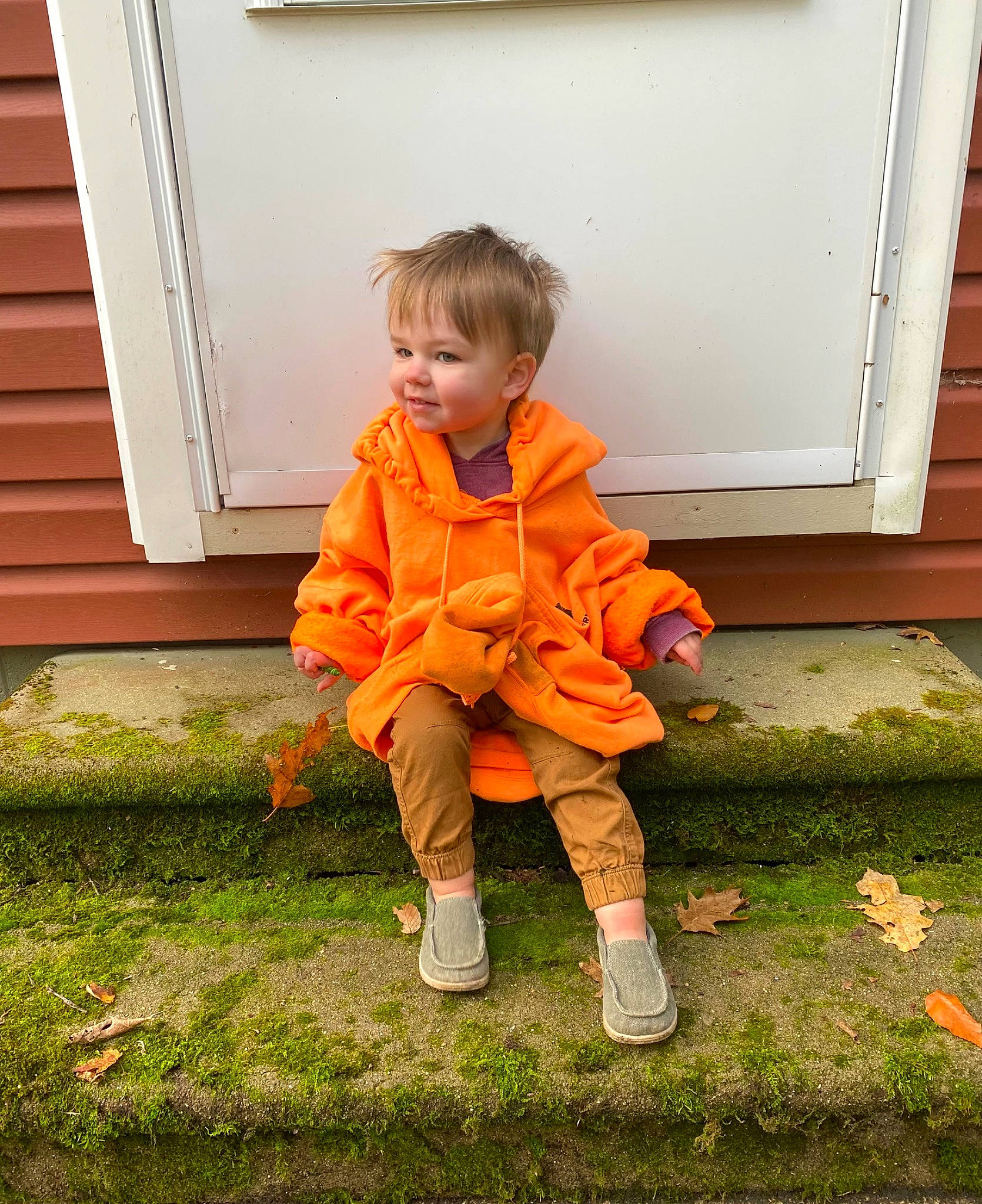 Zander joined the competition — help win amazing prizes! baby, baby_toddler_clothing, child, door, eye, face, flooring, fun, grass, happy, head, human_body, human_leg, nose, orange, people_in_nature, person, plant, sitting, toddler