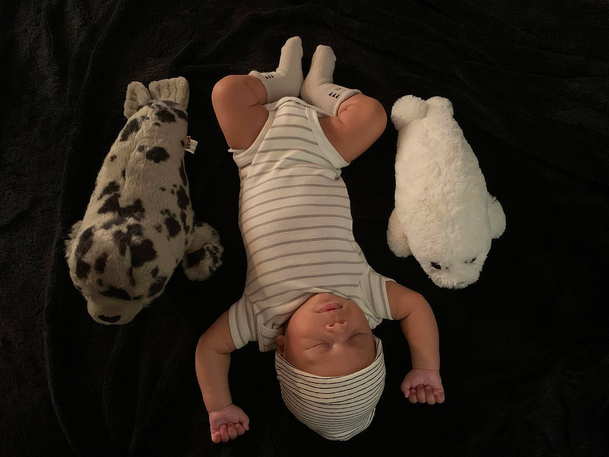 Anubis joined the competition — help win amazing prizes! abdomen, arm, baby, baby_toddler_clothing, barefoot, black, child, comfort, flash_photography, foot, gesture, headwear, human_body, human_leg, knee, linens, pattern, person, sleeve, thigh