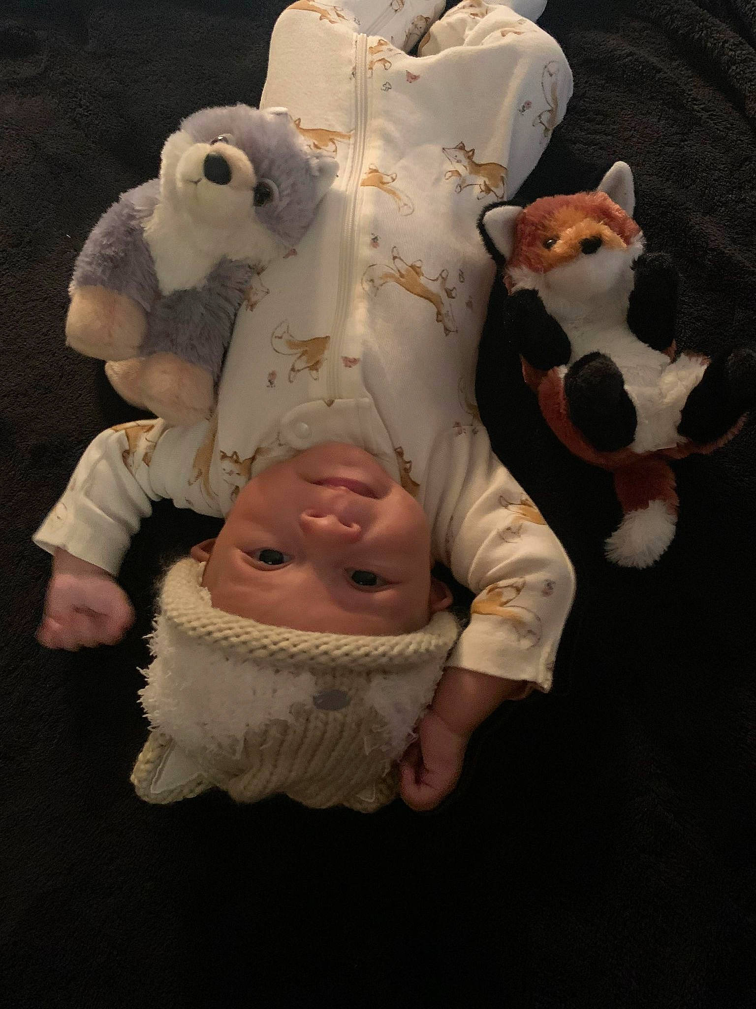 Anubis is registered to the contest to win money with this photo: art, bear, costume, fur, head, headwear, mascot, pattern, person, plush, snout, stuffed_toy, tail, teddy_bear, terrestrial_animal, toy