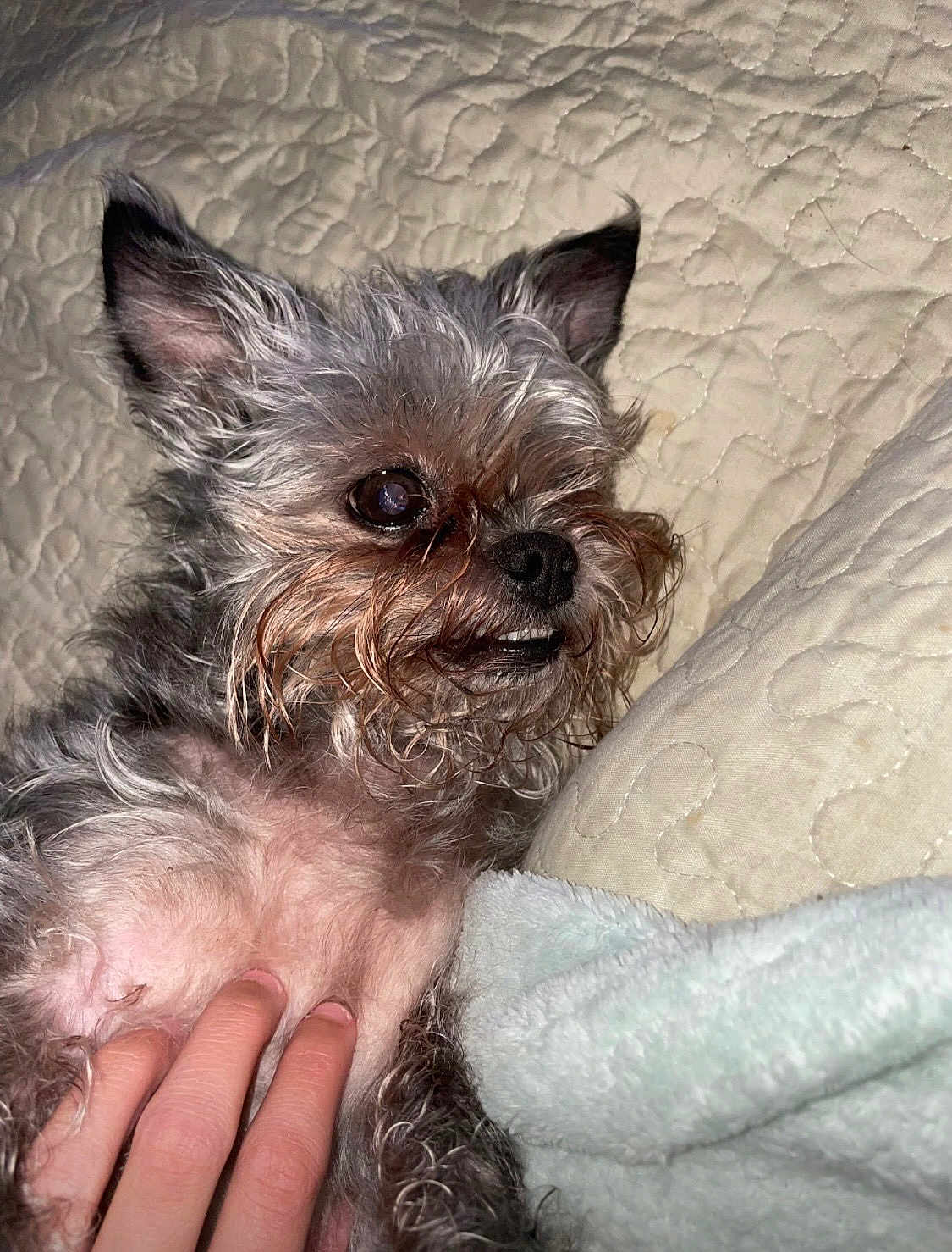 Morty