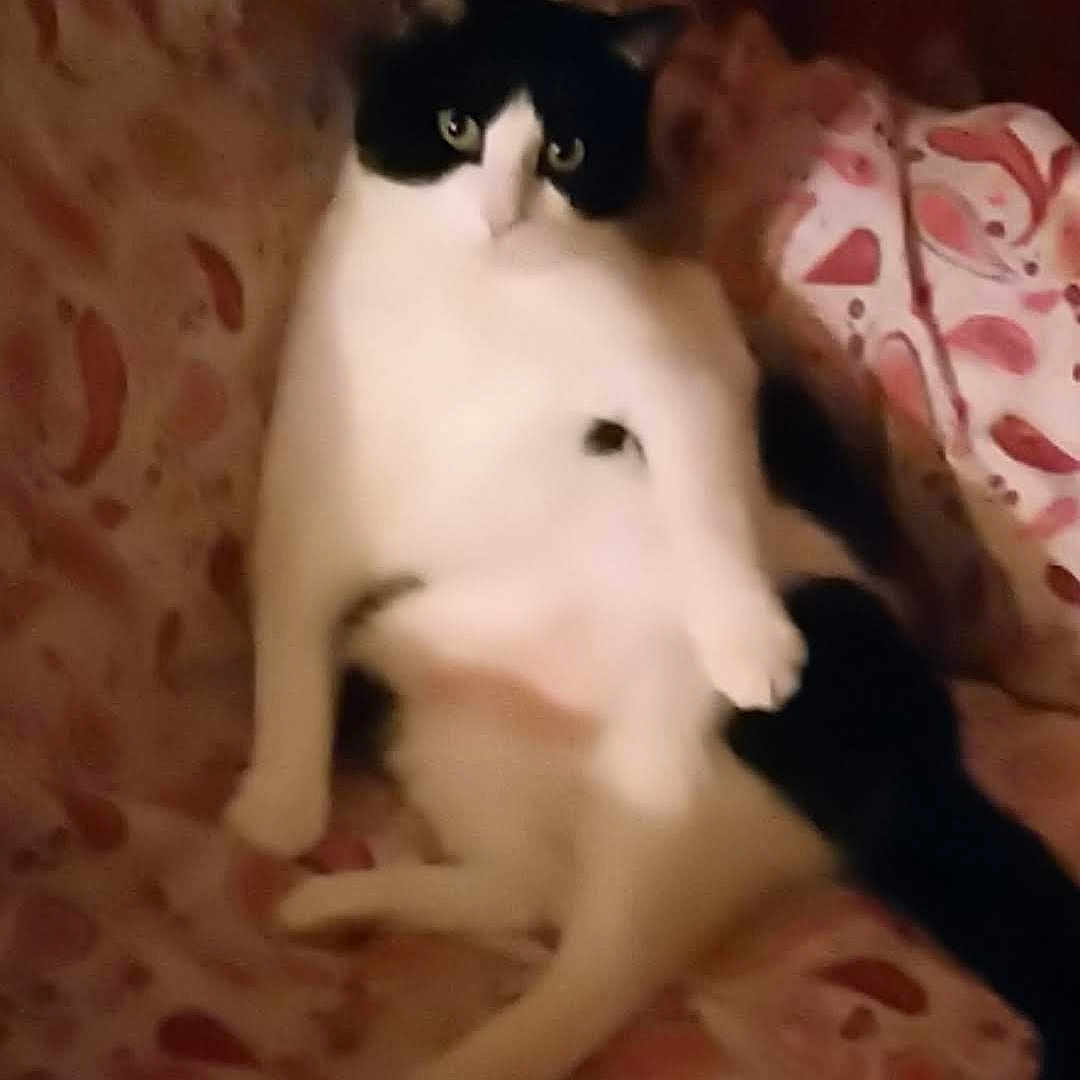 Félix