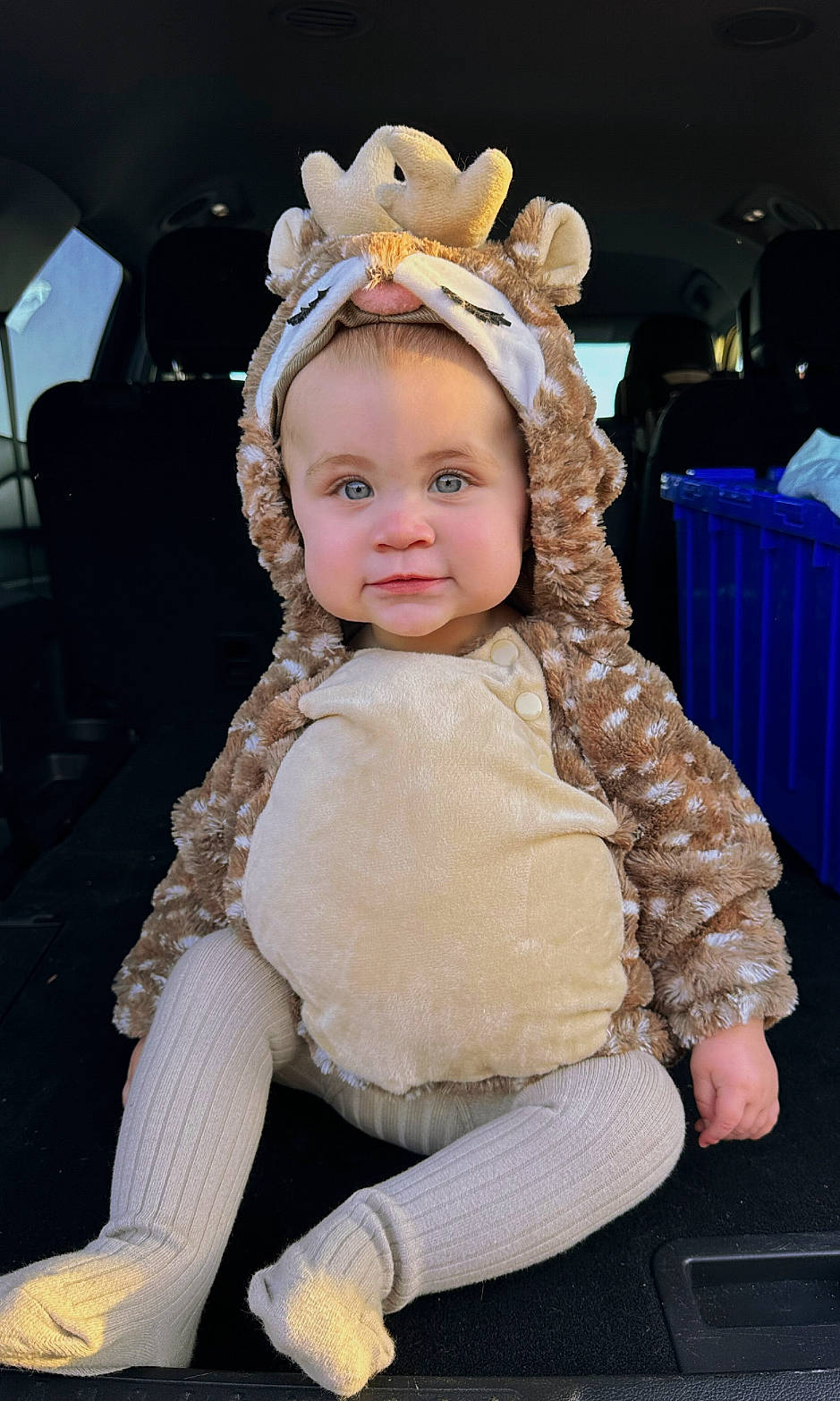 Sadie joined the competition — help win amazing prizes! baby_toddler_clothing, chair, cheek, child, costume, embellishment, event, fashion_accessory, fashion_design, fawn, fun, fur, fur_clothing, happy, headband, headgear, headpiece, jewellery, person, sitting
