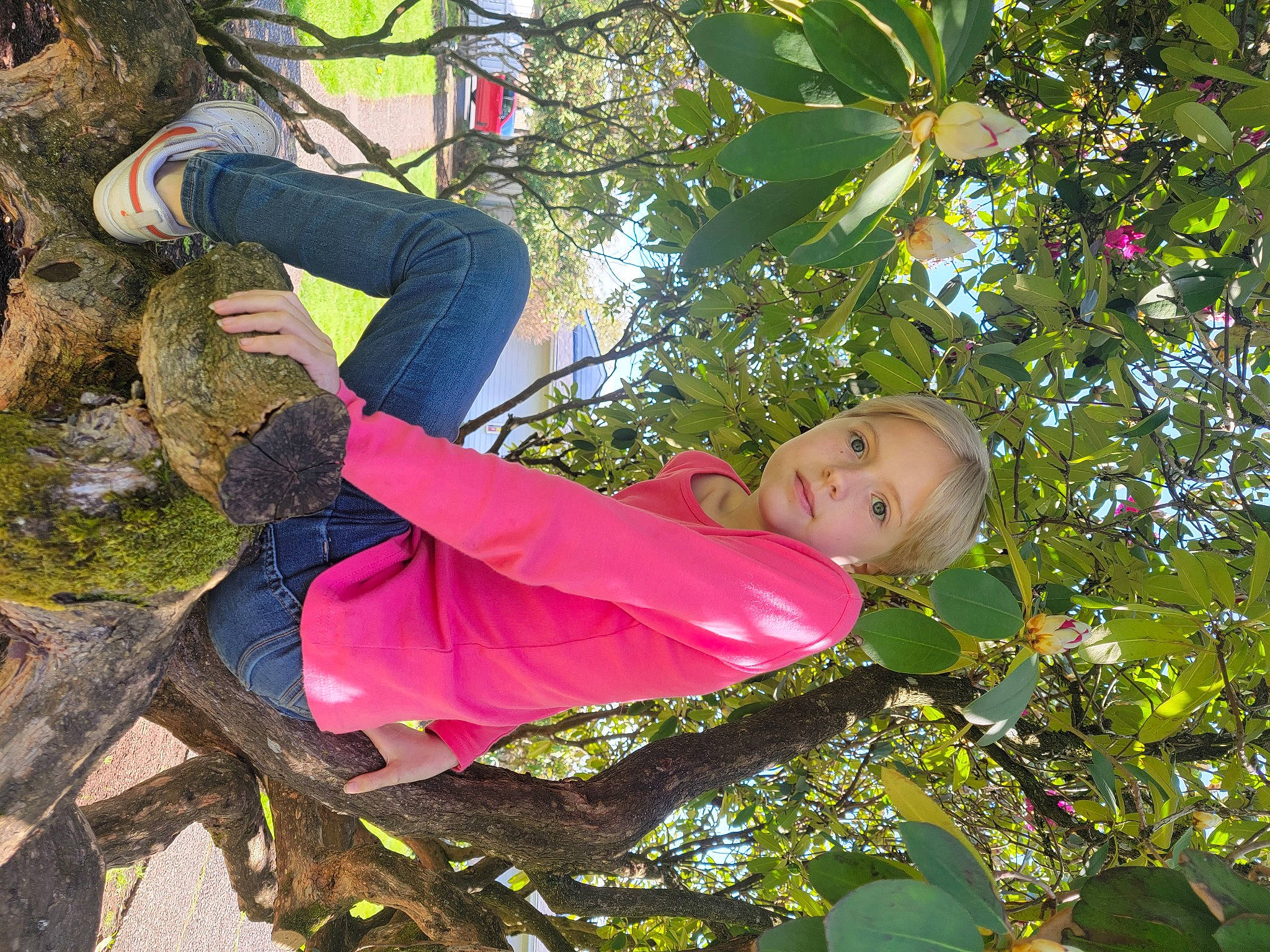 Makayla joined the competition — help win amazing prizes! branch, fun, grass, happy, leisure, magenta, organism, people_in_nature, person, plant, recreation, smile, spring, toddler, tree, trunk, twig, woody_plant
