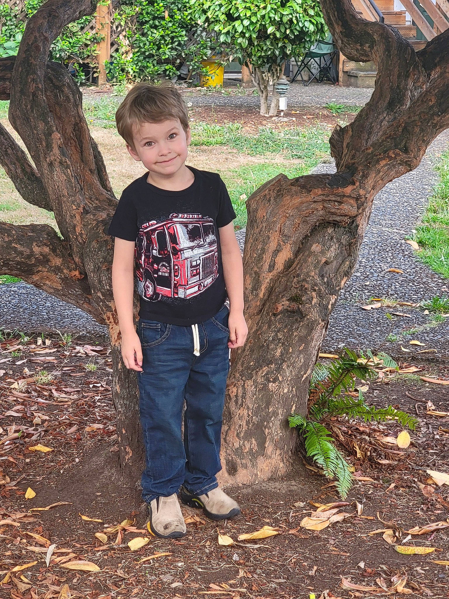 Aiden joined the competition — help win amazing prizes! branch, deciduous, forest, grass, happy, joy, leaf, leisure, people_in_nature, person, plant, sleeve, soil, t_shirt, tints_and_shades, toddler, tree, trunk, waist, wood