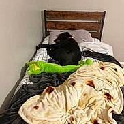 Sadie joined the competition — help win amazing prizes! dog, bed, pillow, blanket, plush_toy, wooden_headboard, sleeping, black_dog, indoor, cozy, home, furniture, soft_toys, textile, resting, pet, carpet, wall, comfort, sleep