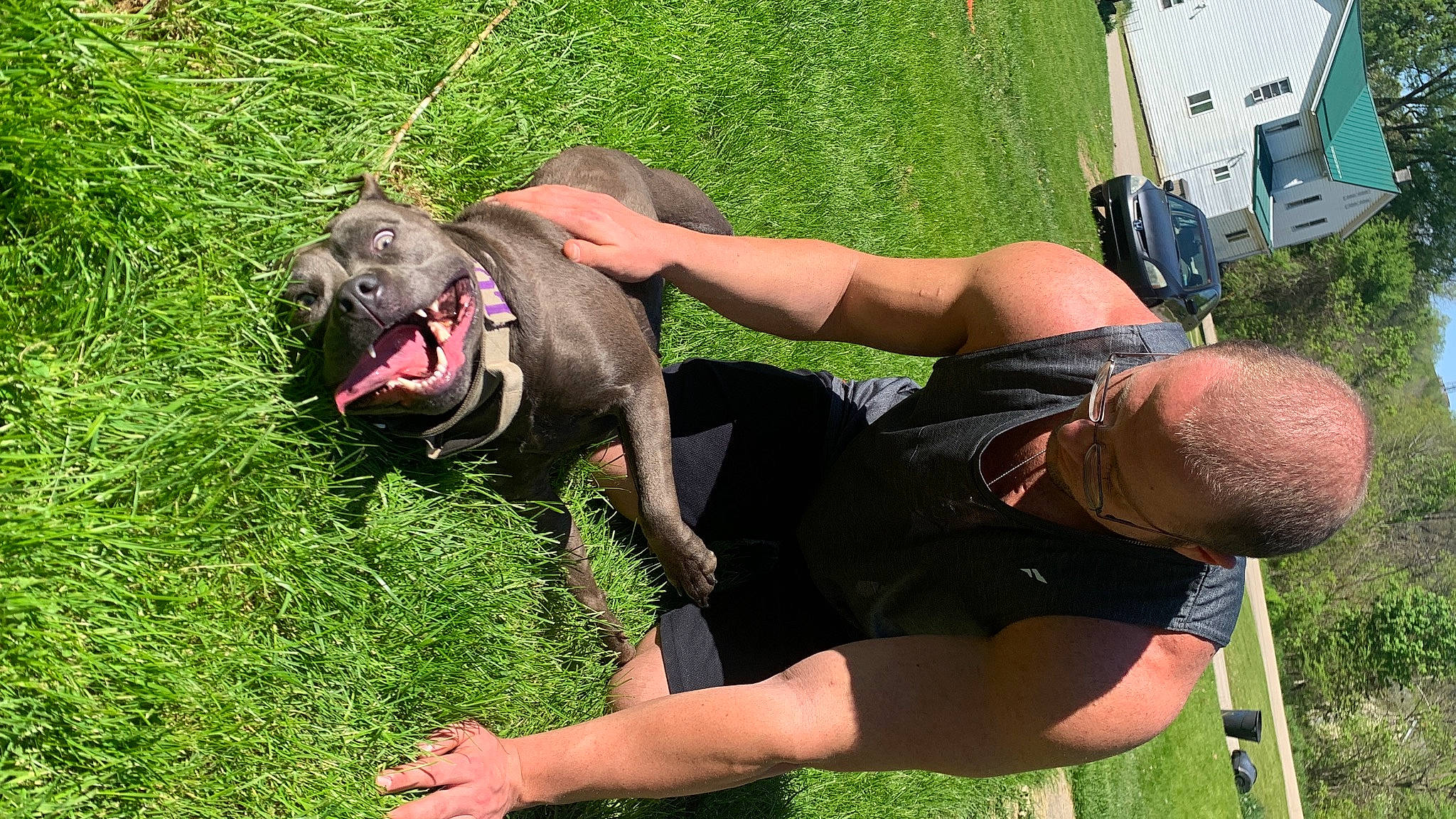 Luna joined the competition — help win amazing prizes! carnivore, chest, companion_dog, dog, dog_breed, elbow, fun, grass, green, guard_dog, happy, knee, lawn, leisure, people_in_nature, plant, recreation, shorts, sporting_group, thigh