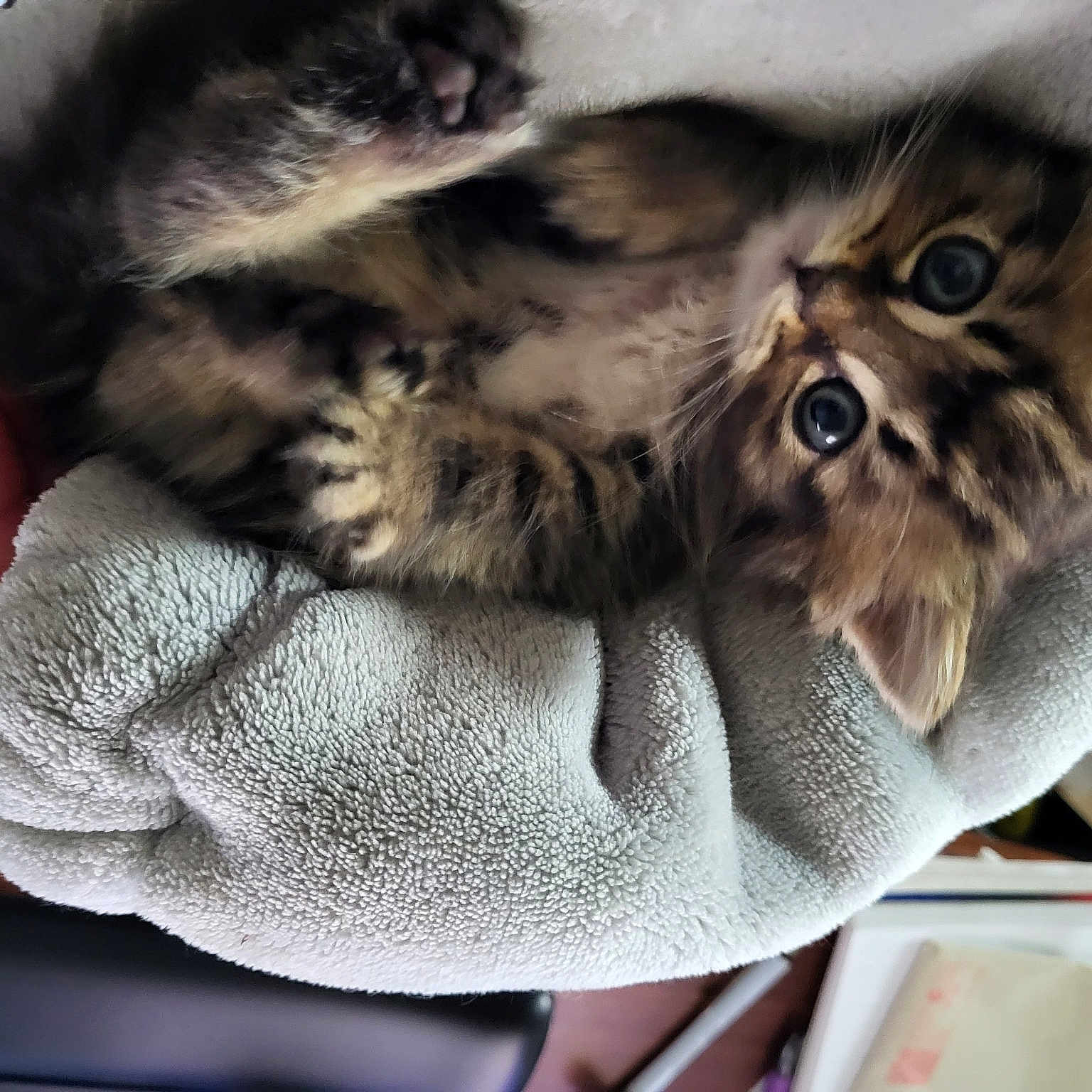 Lil'One