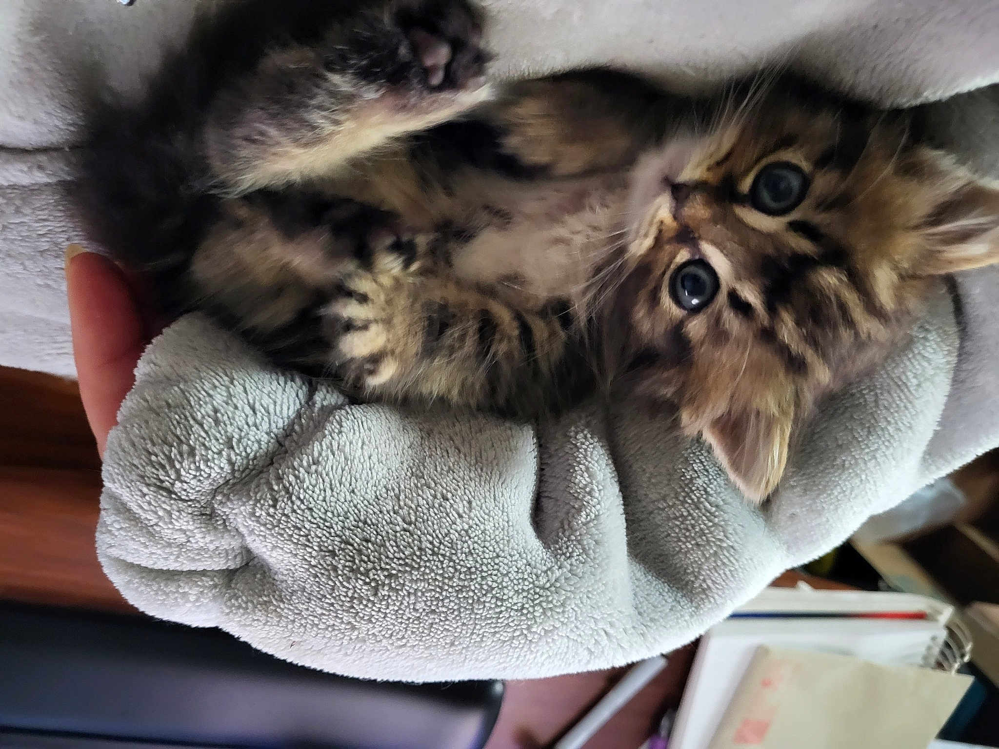Lil'One