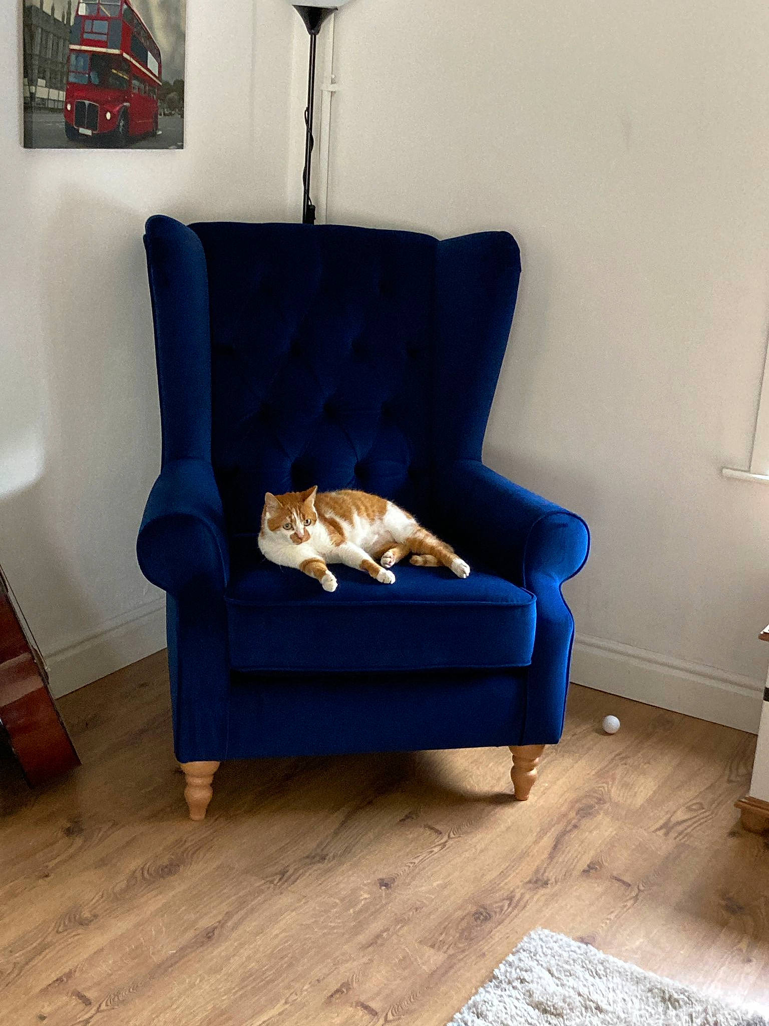 Amber is registered to the contest to win money with this photo: armrest, azure, chair, comfort, couch, electric_blue, floor, flooring, furniture, hardwood, laminate_flooring, living_room, rectangle, room, studio_couch, tints_and_shades, varnish, wood, wood_flooring, wood_stain