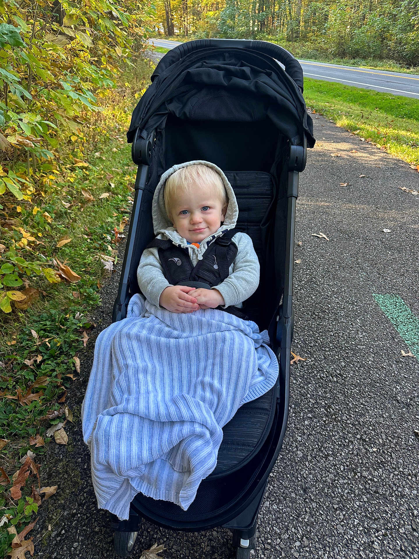 Ayden joined the competition — help win amazing prizes! toddler, child, stroller, blanket, hoodie, outdoor, path, autumn, foliage, smile, pavement, nature, leaves, trees, daylight, baby, person, cute, park, walkway