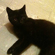 Kira participe au concours pour gagner de l'argent avec cette photo :