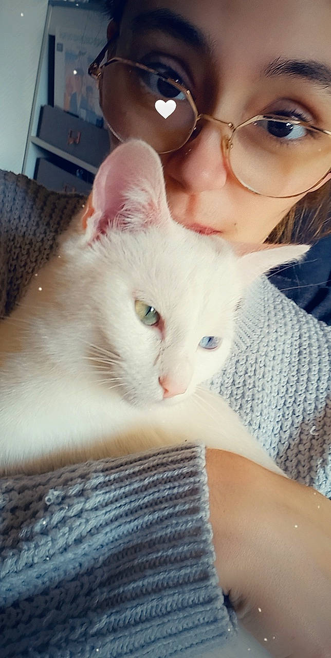 Perle participe au concours pour gagner de l'argent avec cette photo : carnivore, cat, comfort, ear, eye, eyebrow, eyelash, eyewear, facial_expression, fawn, felidae, glasses, happy, head, iris, nose, skin, small_to_medium_sized_cats, vision_care, whiskers