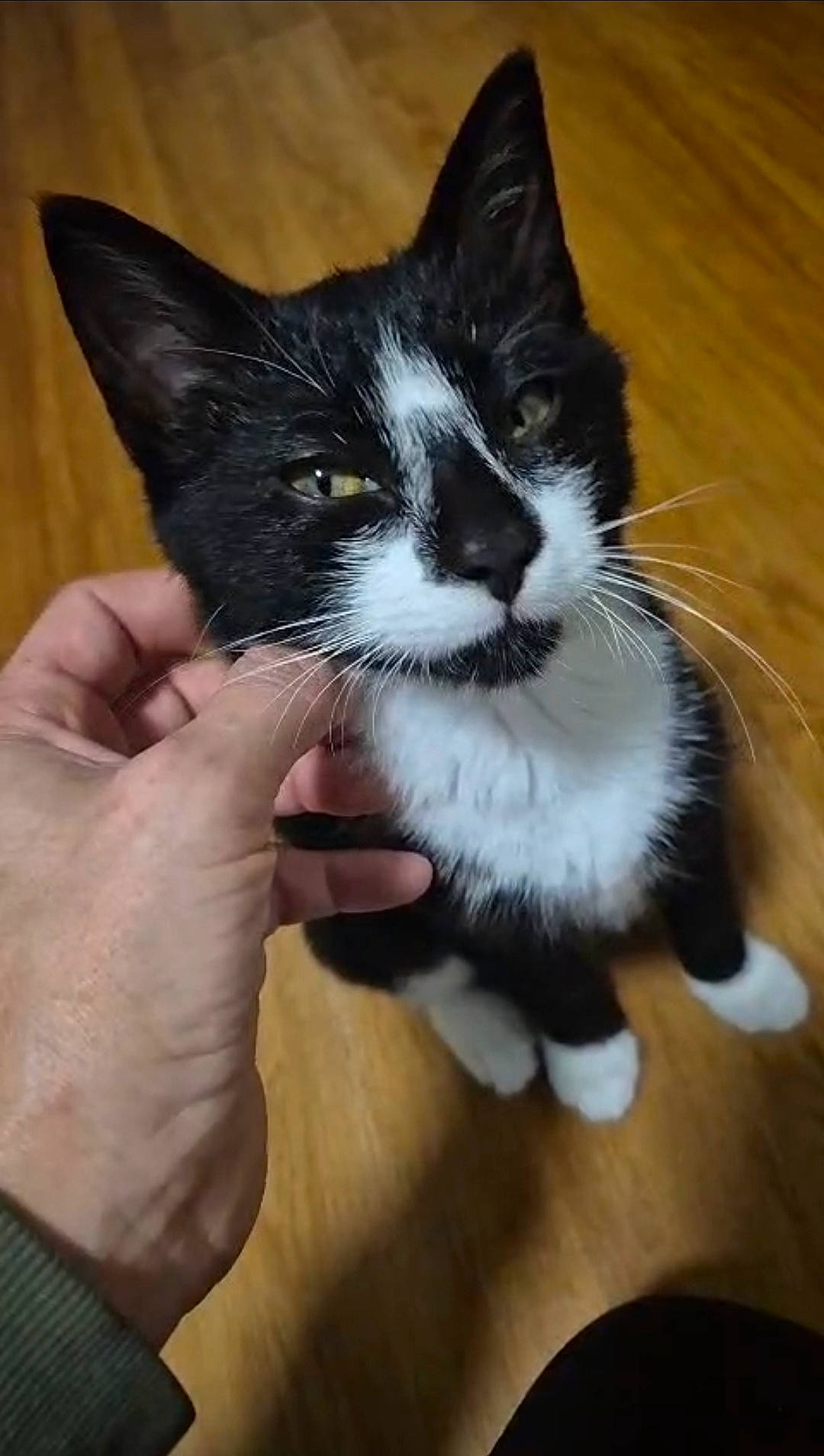 Jax