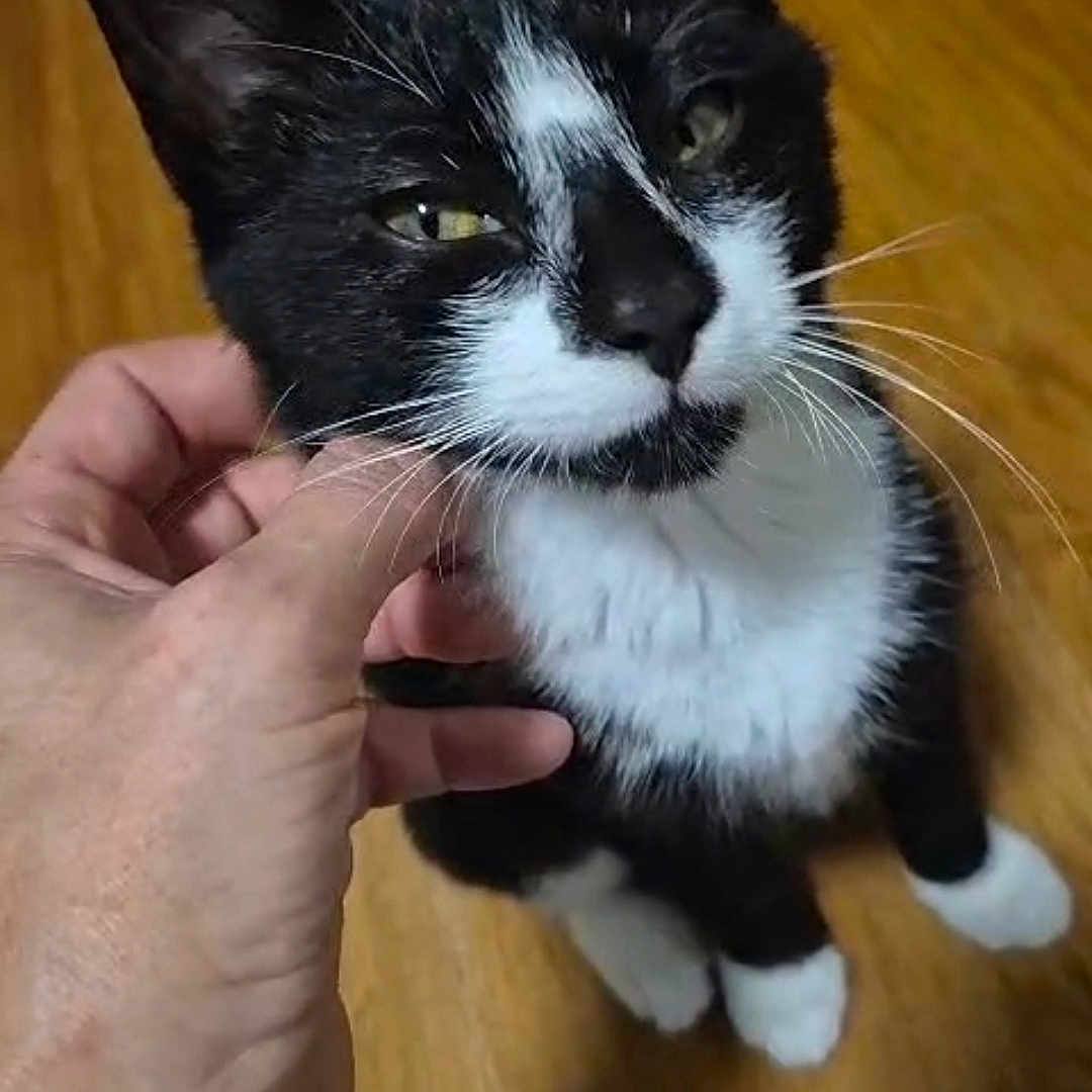 Jax